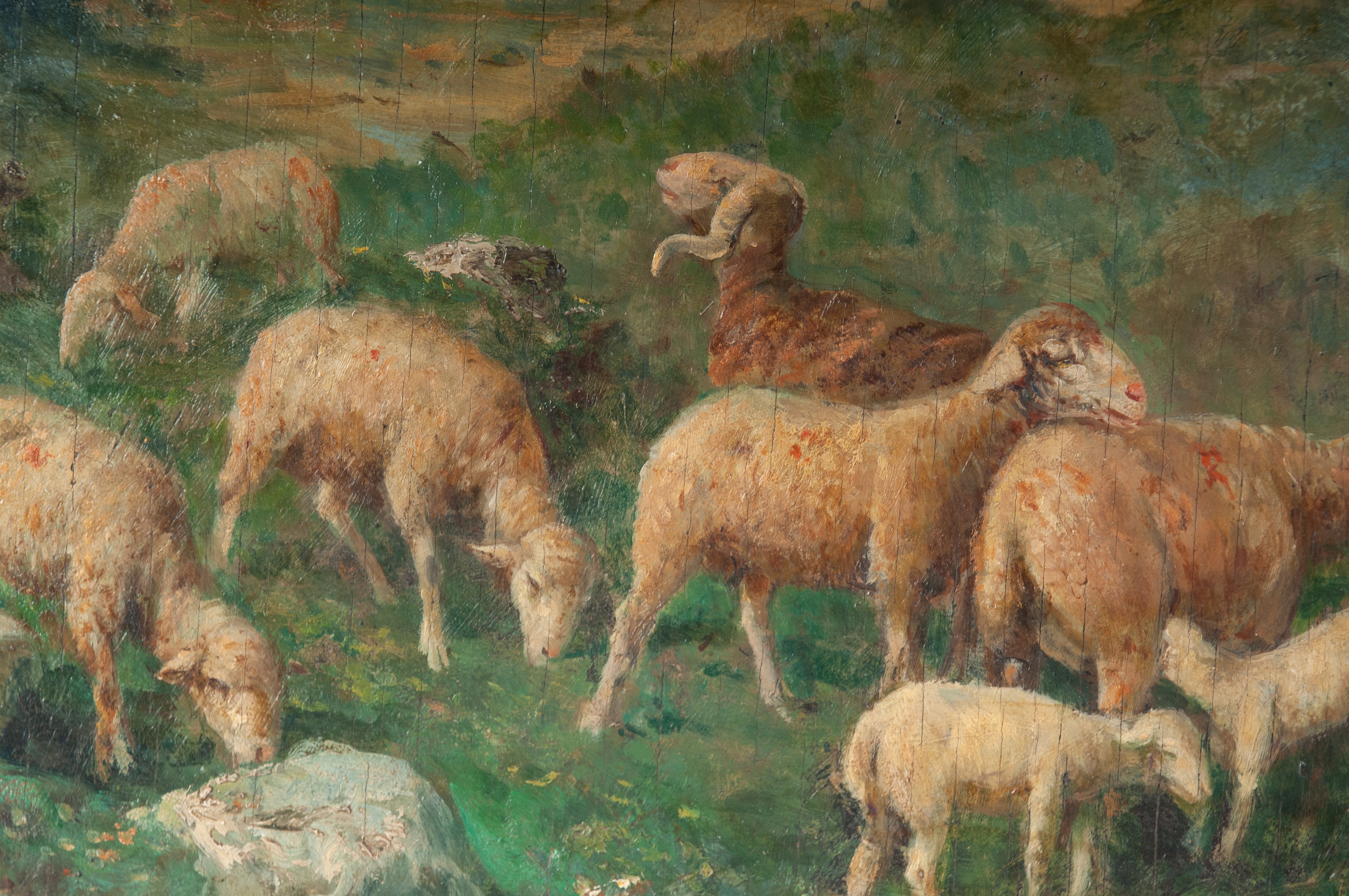 Pastorella con gregge