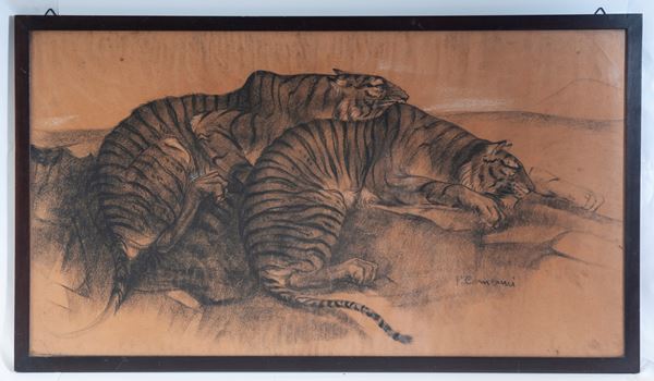 Tigri, multiplo su carta