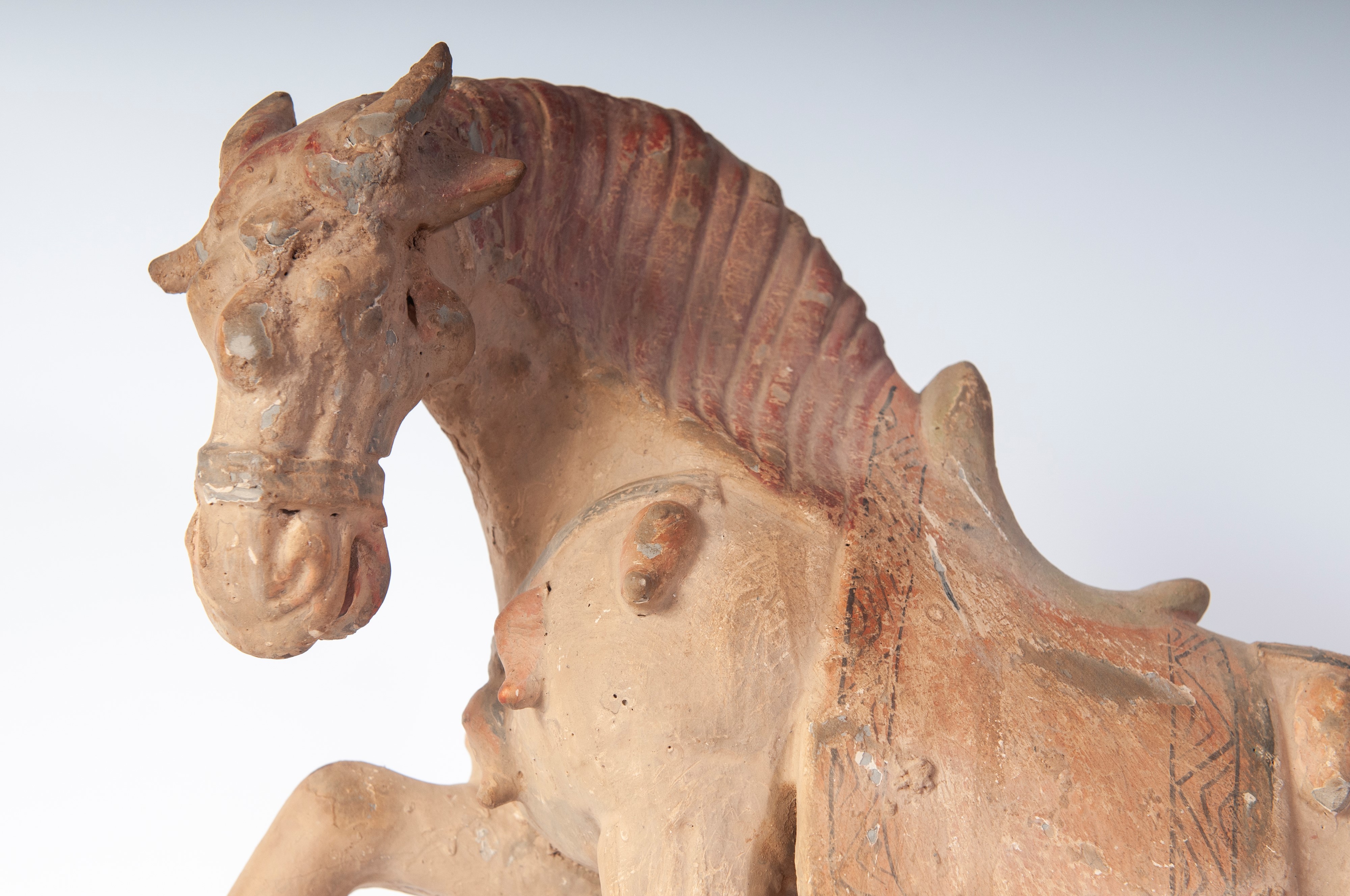 Cavallo in terracotta policroma