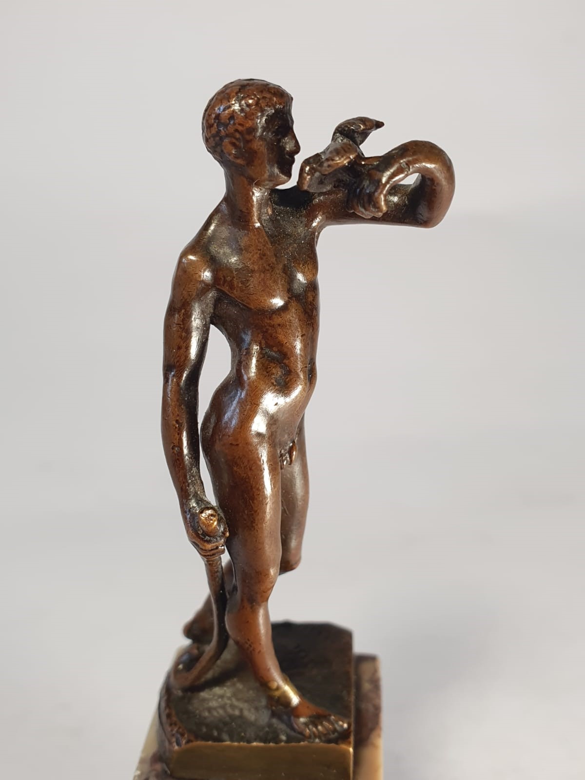 Ragazzo con volatile