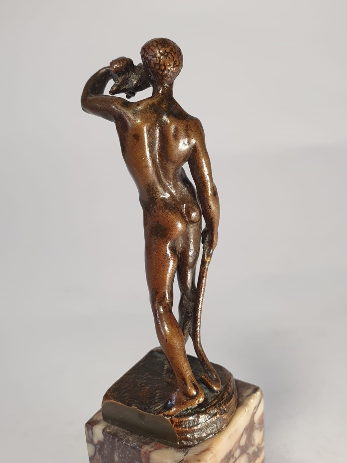 Ragazzo con volatile