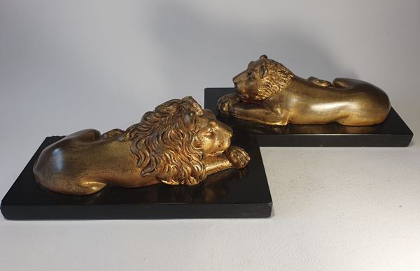 Lion and lioness