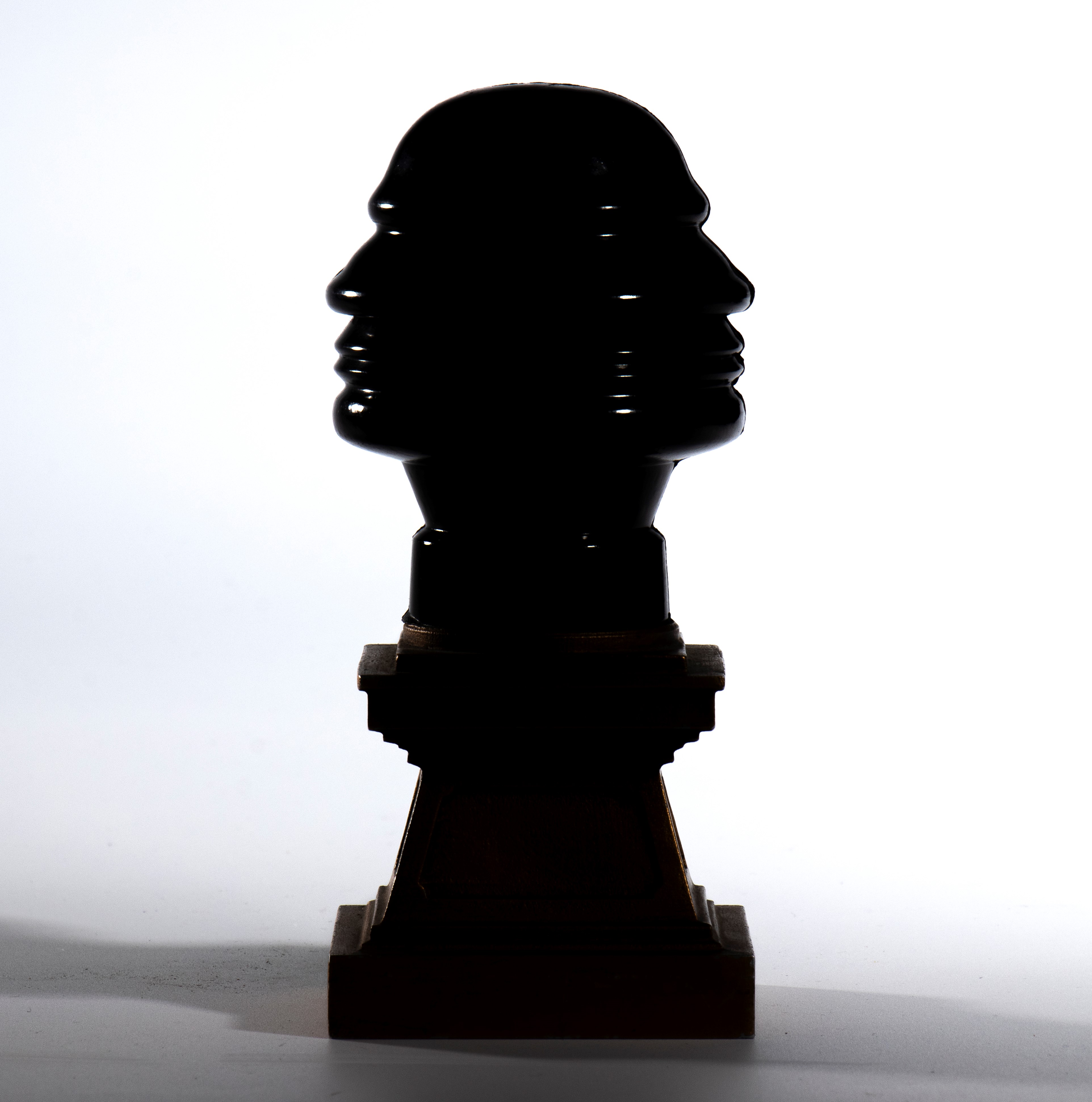 Profilo Continuo del Duce