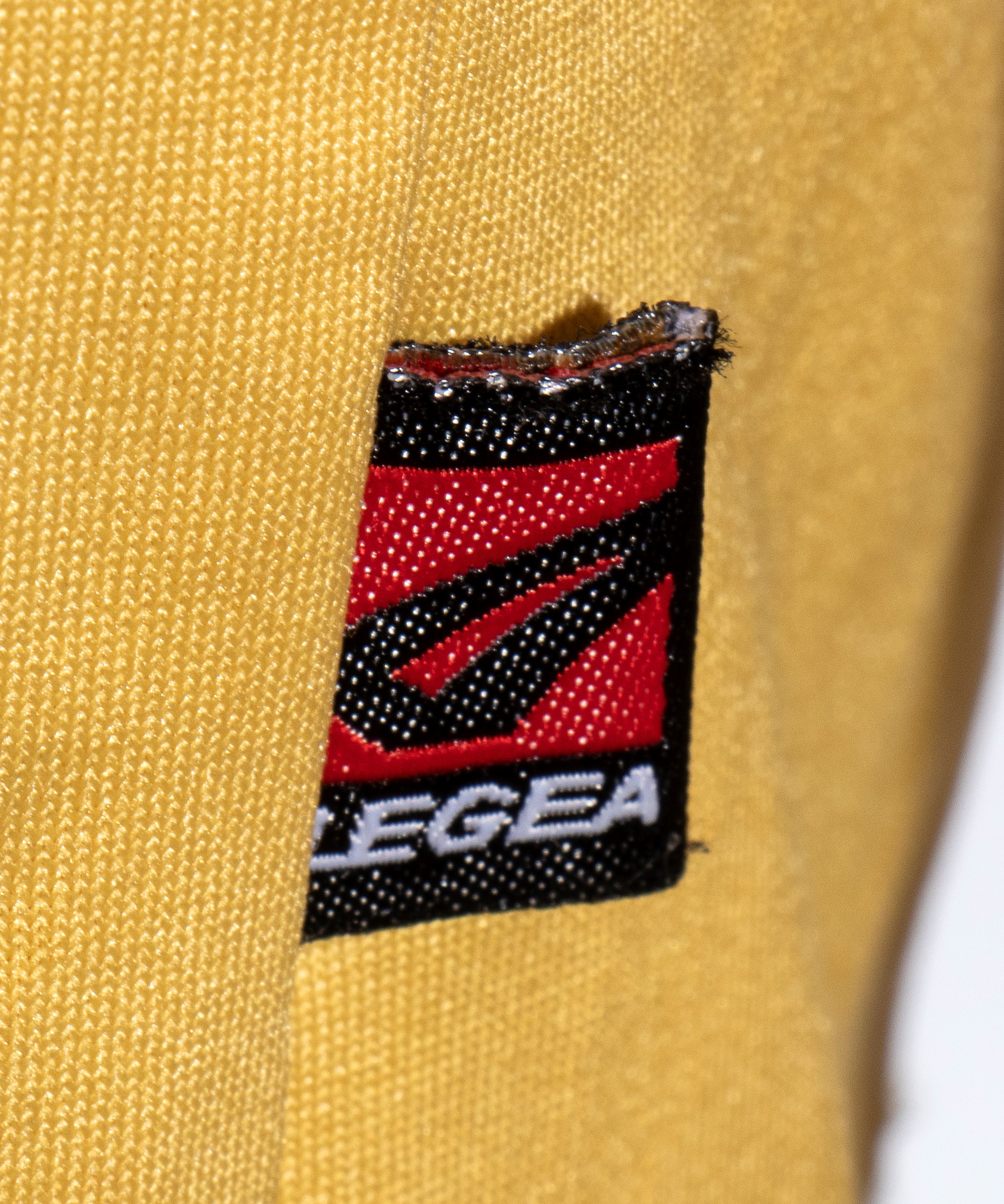 Paoloni Marco, Ascoli , Maglia