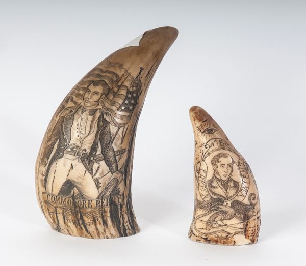 Lotto di due denti di resina