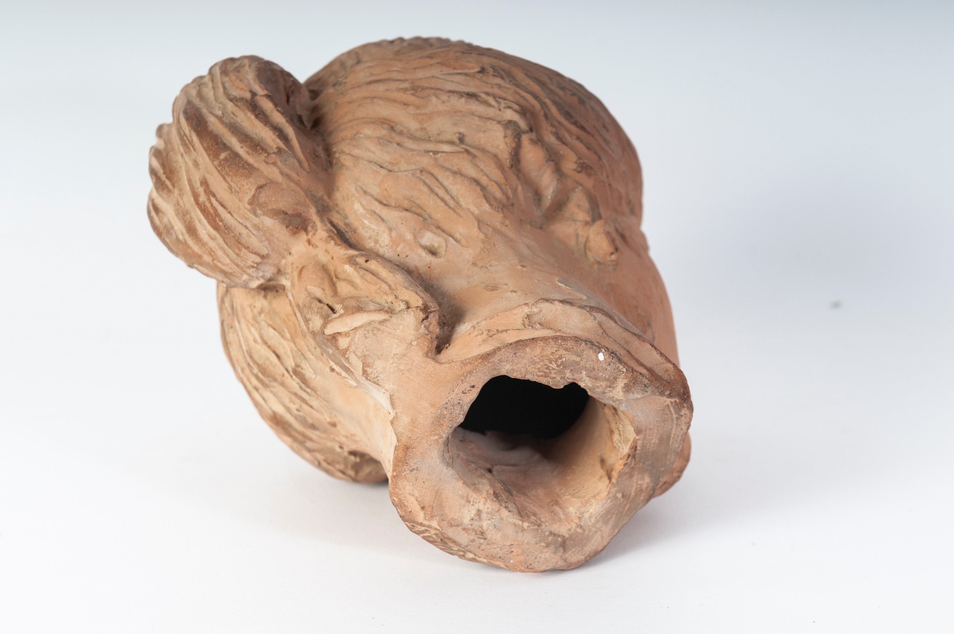 Anonimo, Testa di donna in terracotta, XX secolo