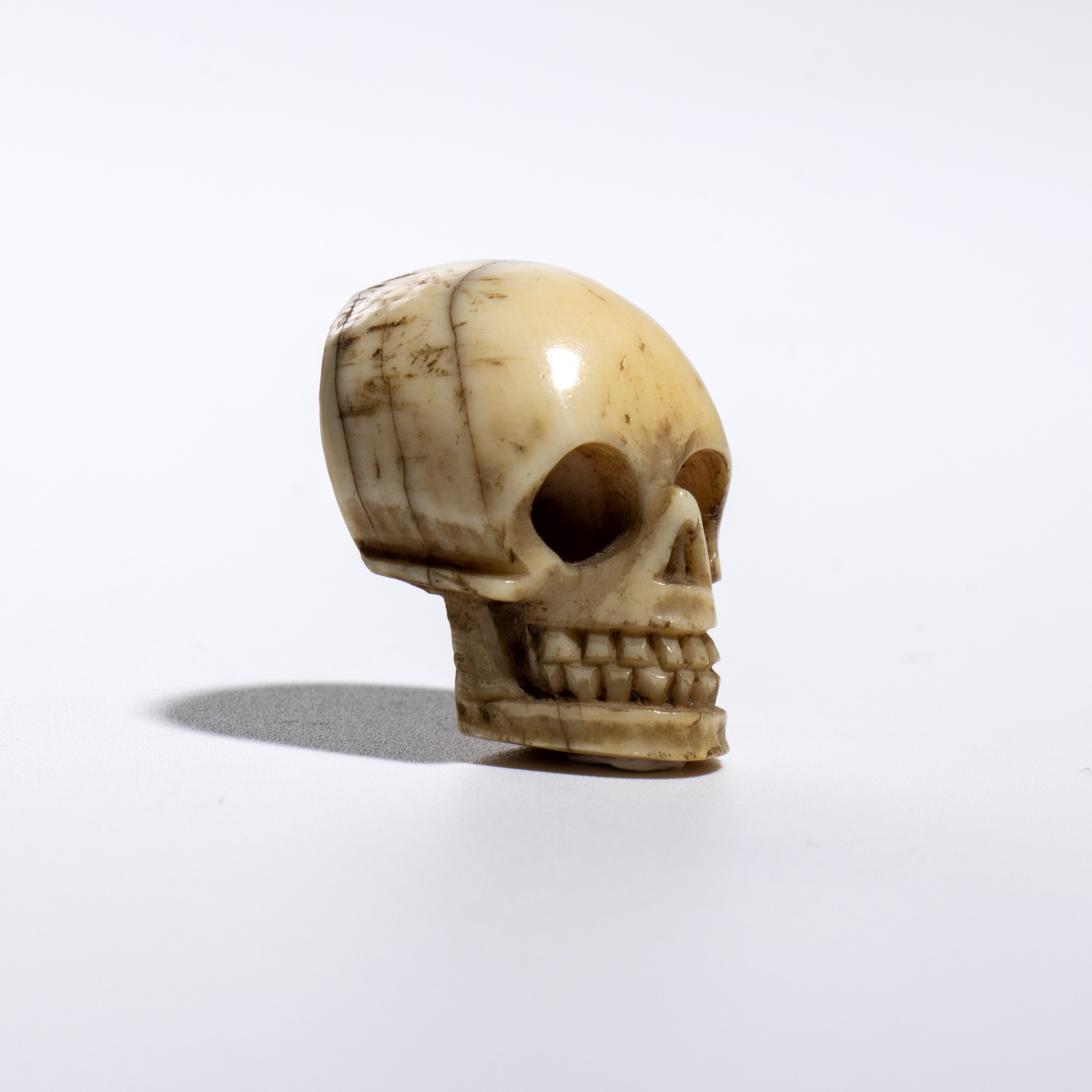 Arte giapponese, Memento Mori: vanitas in avorio marino raffigurante un teschio