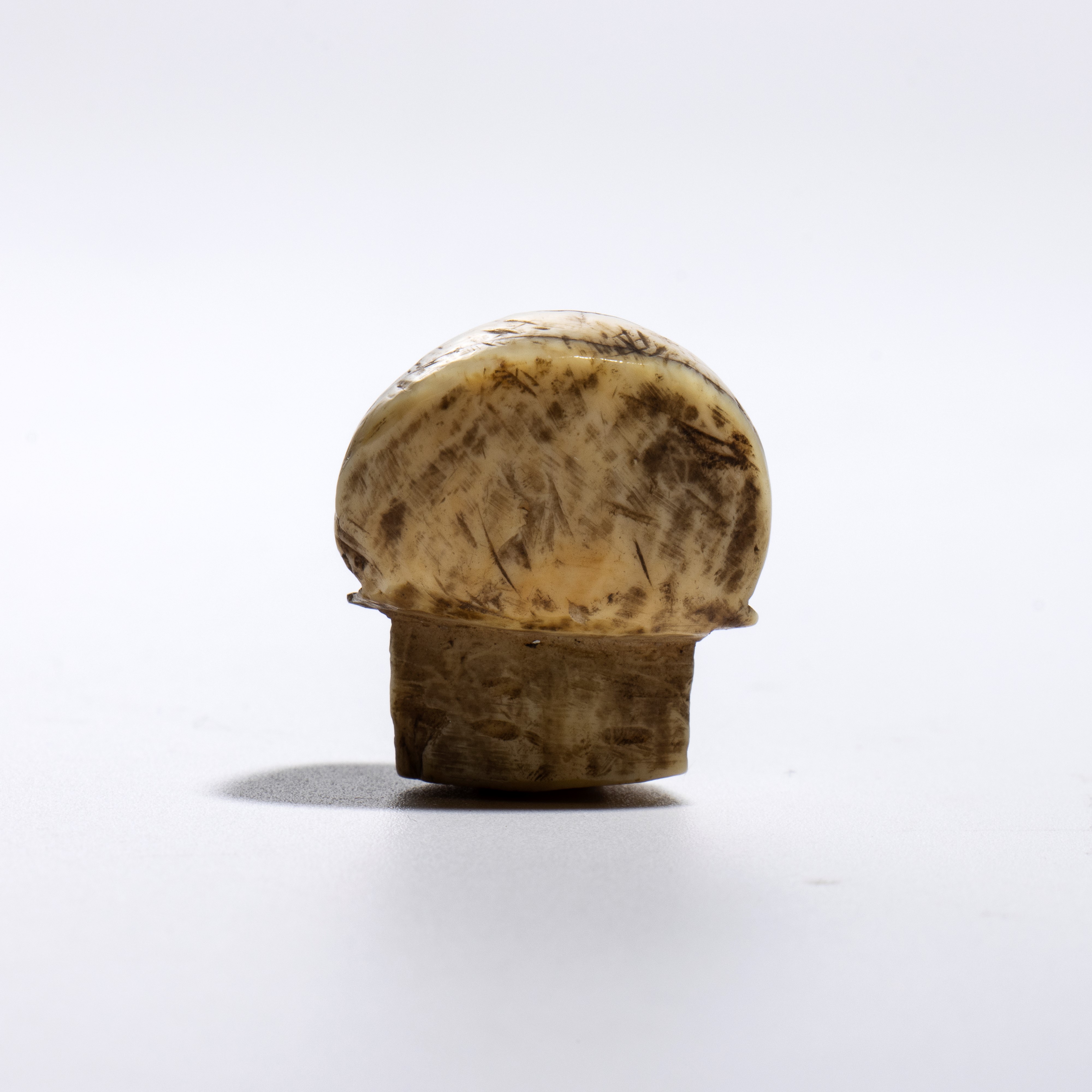 Arte giapponese, Memento Mori: vanitas in avorio marino raffigurante un teschio