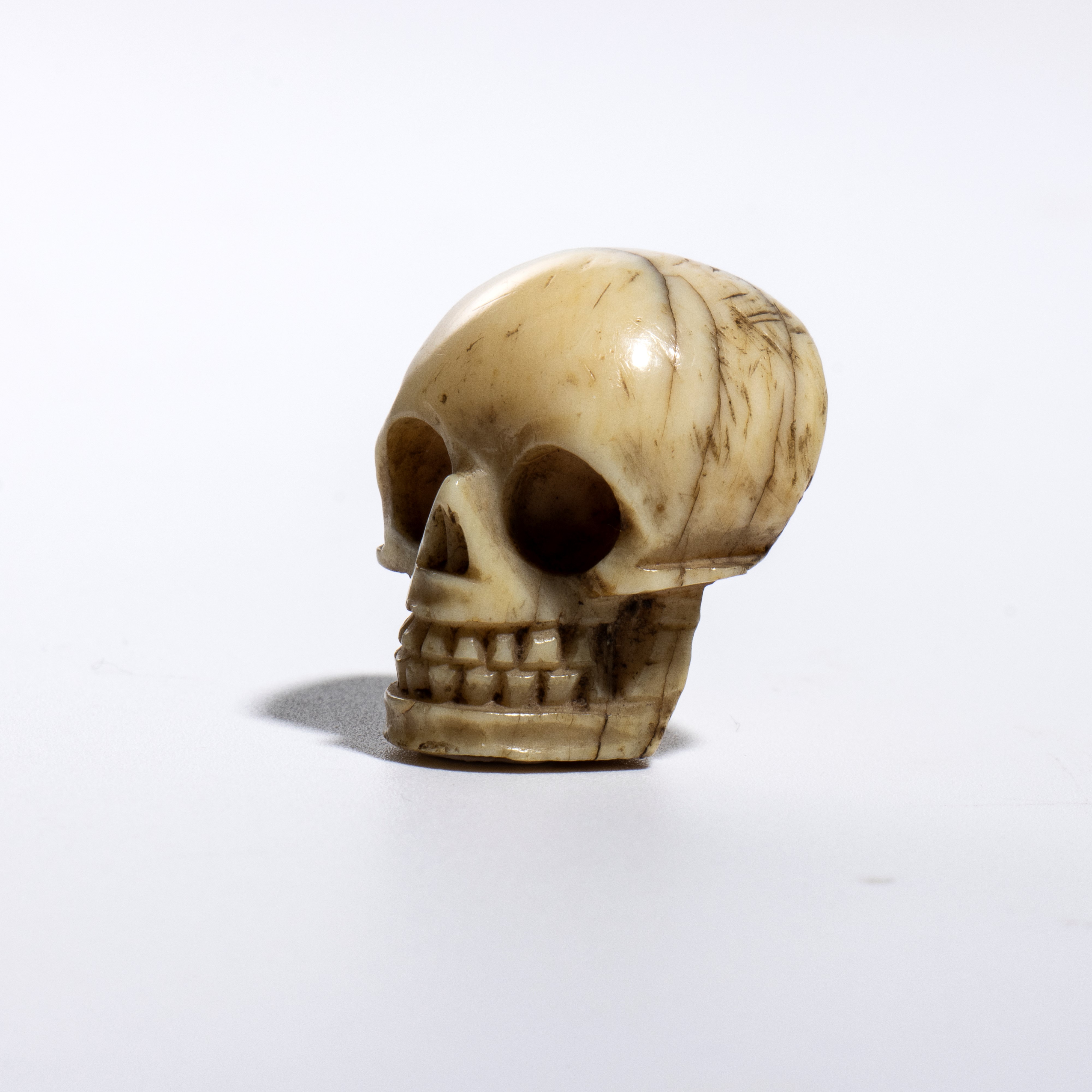 Arte giapponese, Memento Mori: vanitas in avorio marino raffigurante un teschio