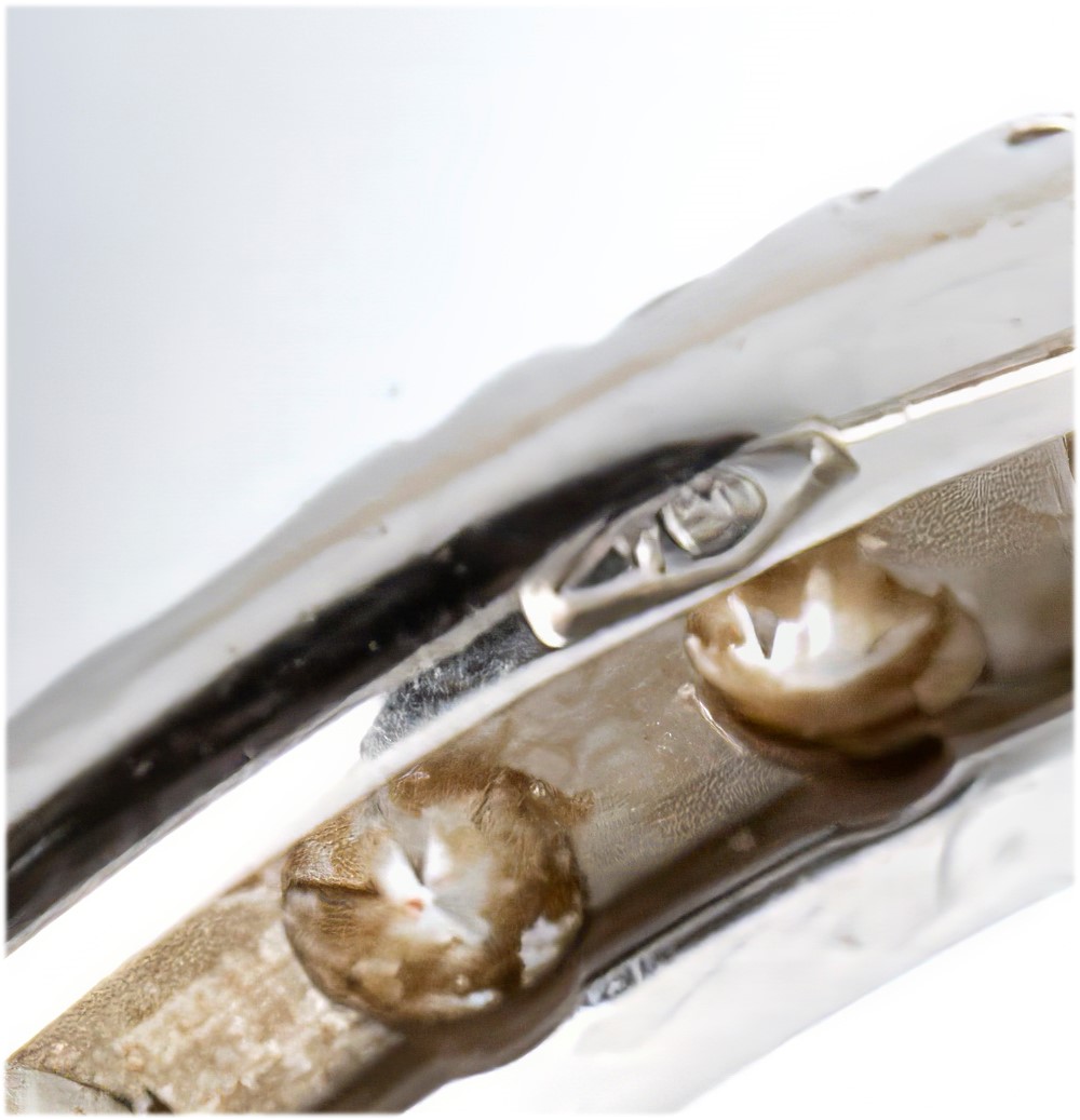 Orecchini, oro bianco 18k con diamanti neri e moissaniti
