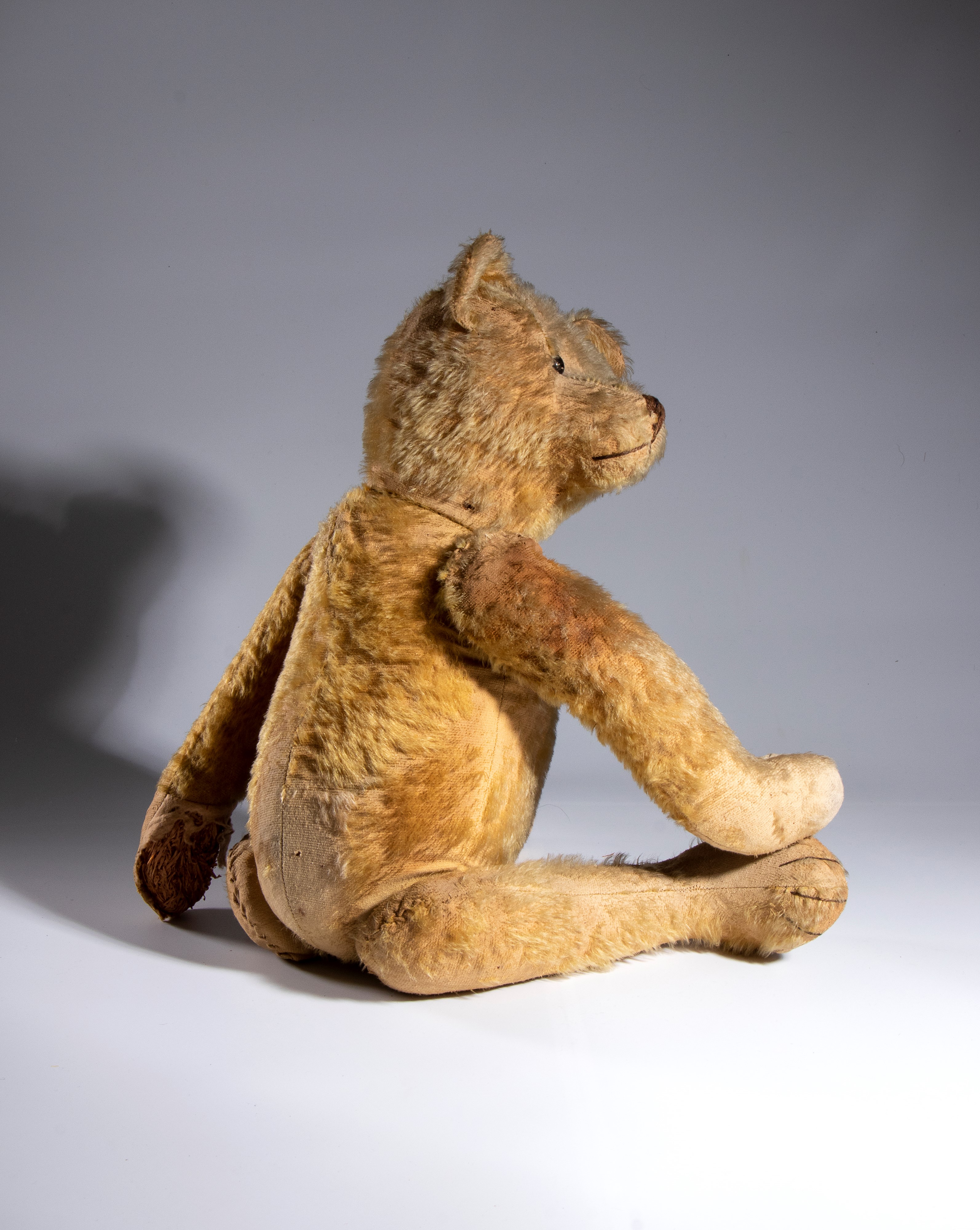Orso in Mohair, Germania, '900