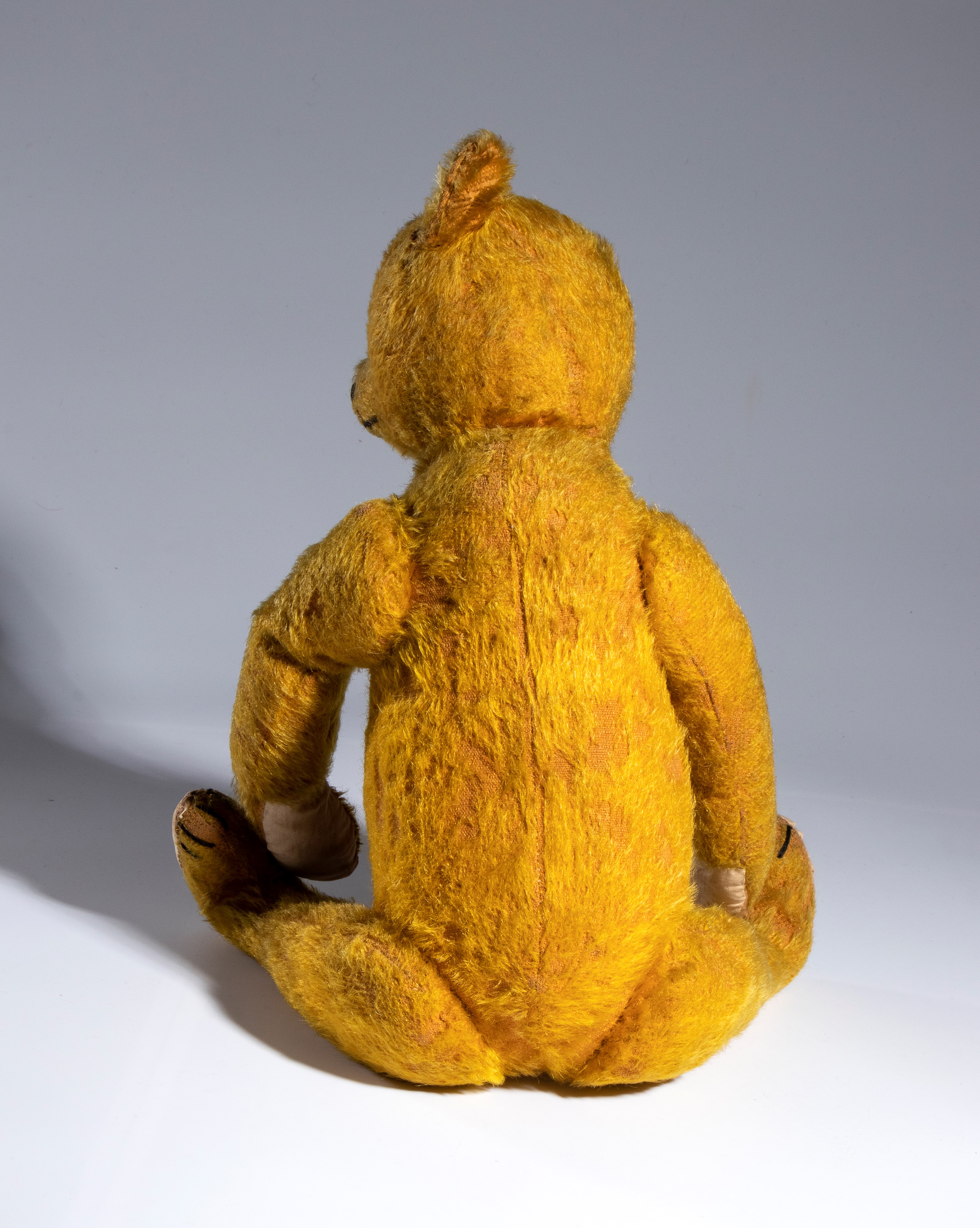 Orso in Peluche, Germania Inizi '900