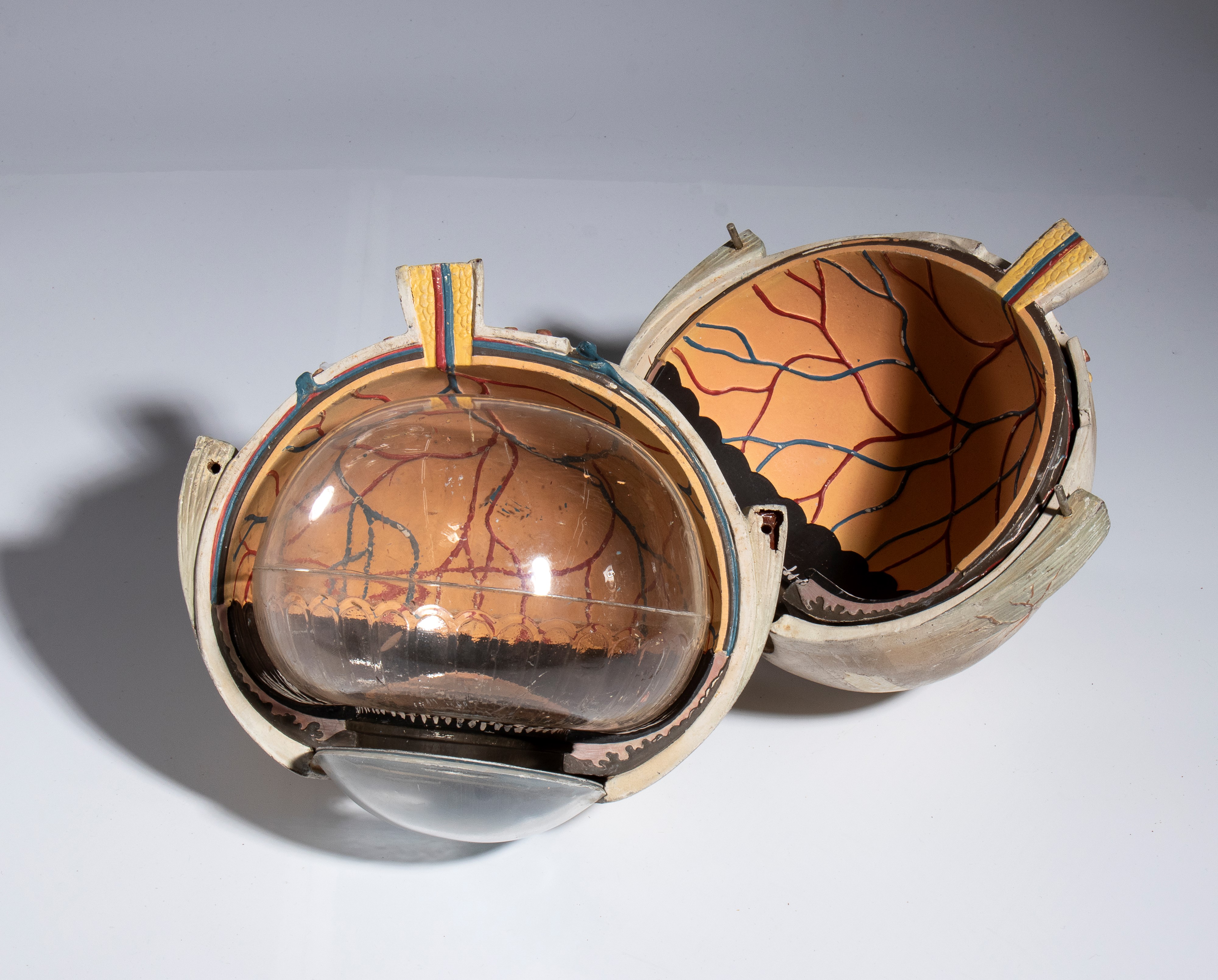 Didattica - PARAVIA (?) - Corpo umano