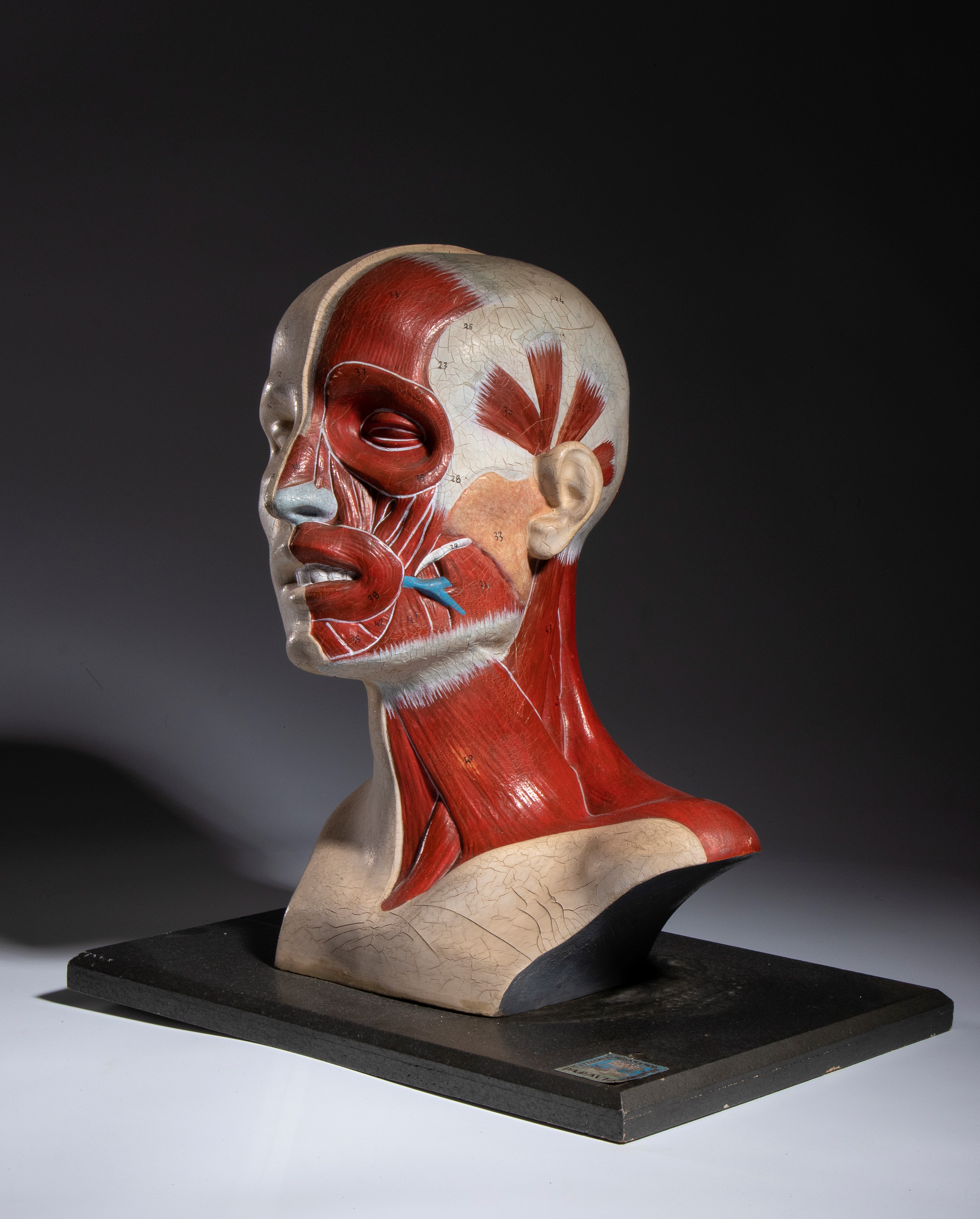 Didattica - PARAVIA (?) - Corpo umano