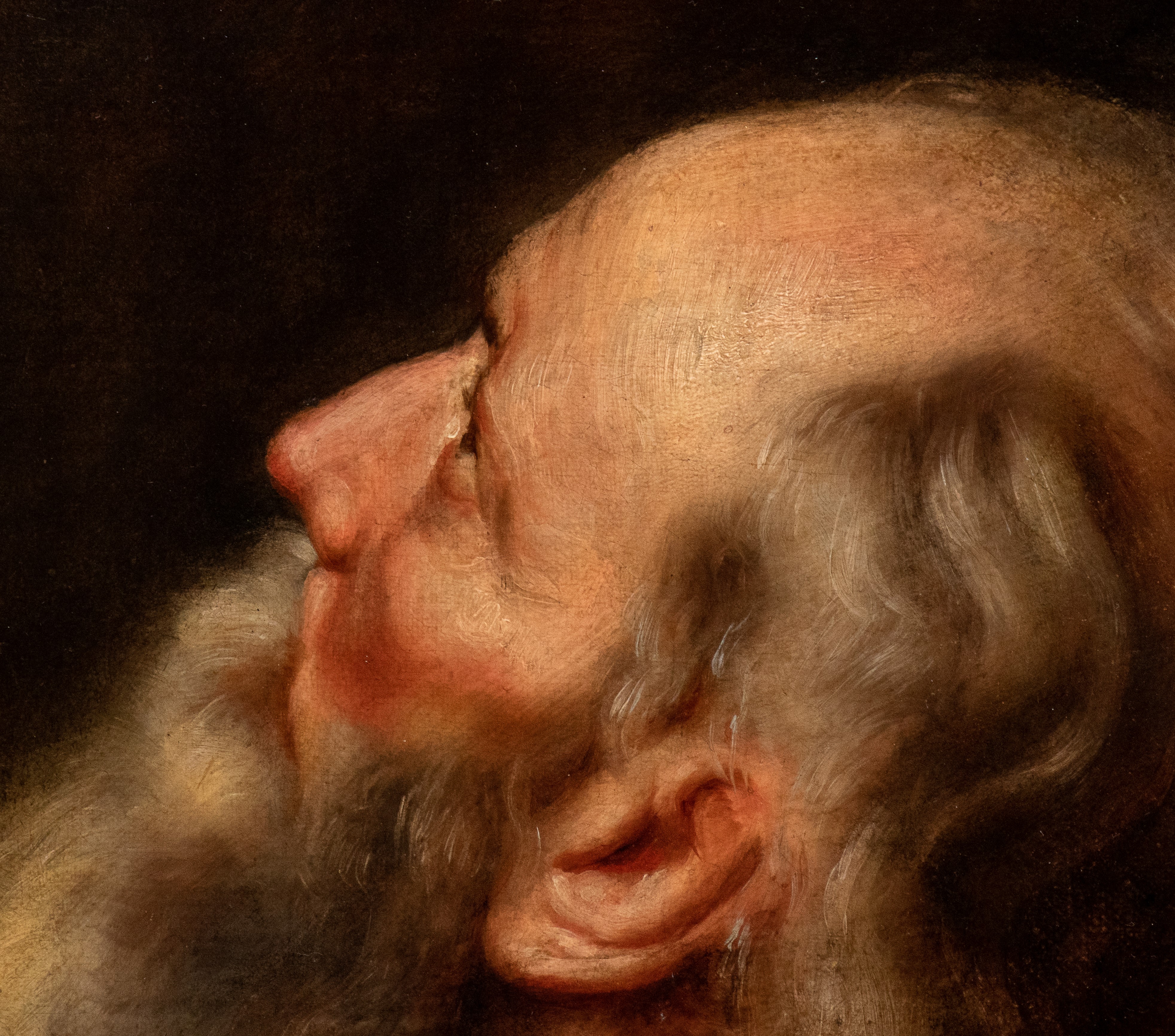 Studio per due teste di carattere