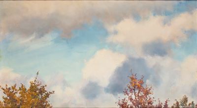 Studio di nuvole con alberi, olio su tela