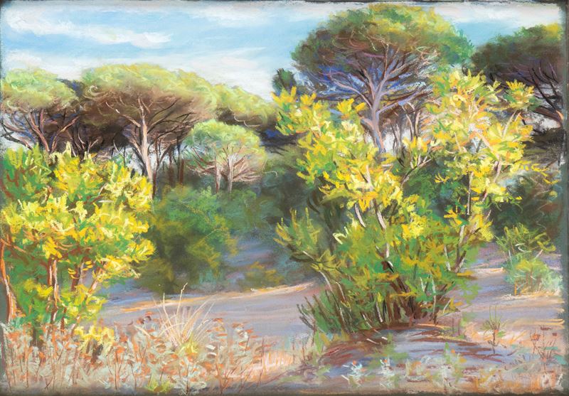 Luce Balla - Pineta di Castel Fusano, olio su tavola, 1950