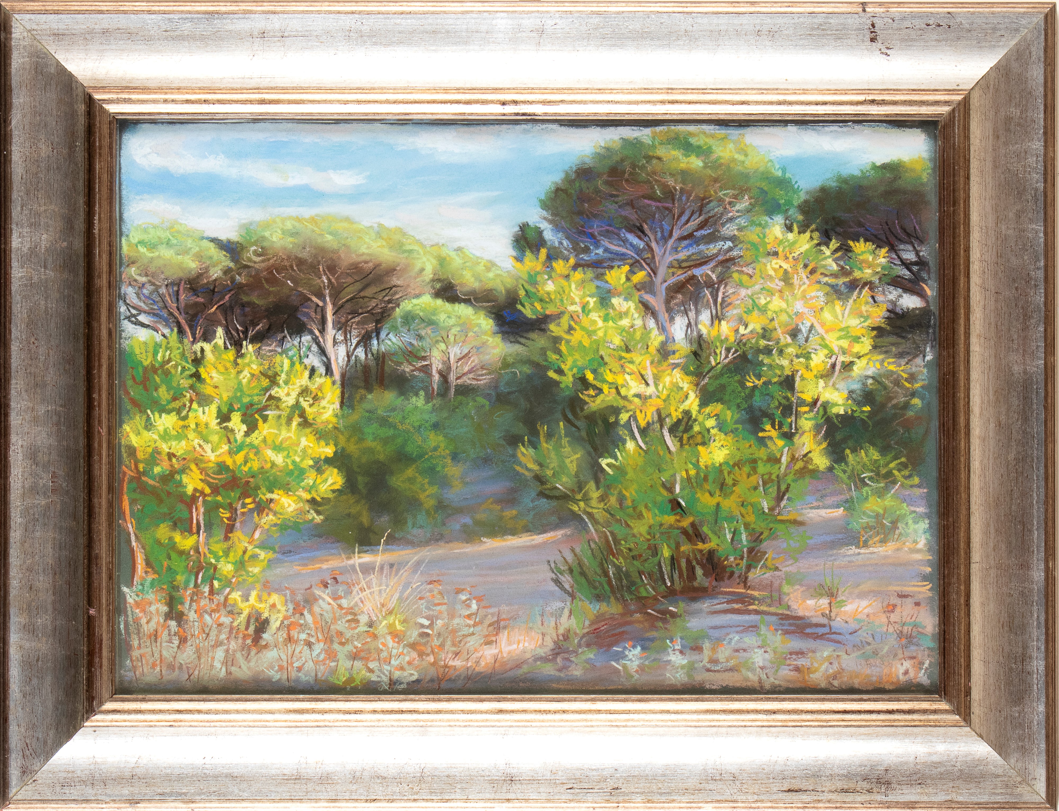 Luce Balla - Pineta di Castel Fusano, olio su tavola, 1950