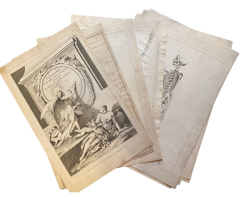 Edme Bouchardon, L'Anatomie nécessaire pour l'usage du dessin, folio con 17 tavole incise