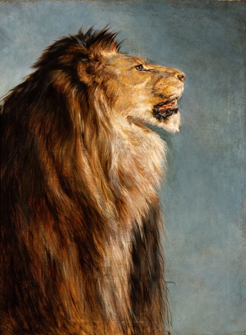 Artista Francese, Fine XIX Secolo - Rosa Bonheur, Testa di leone, olio su tela