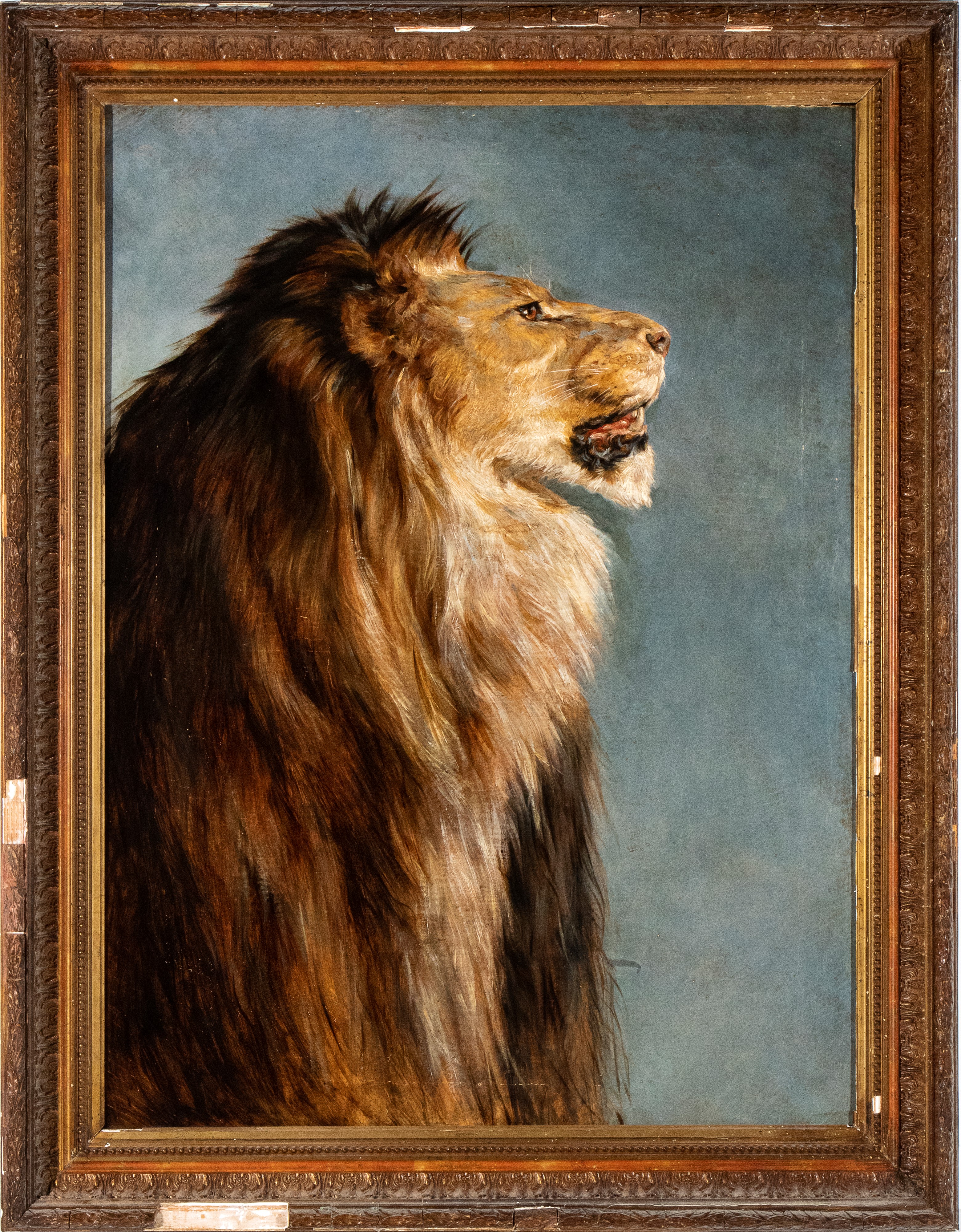 Artista Francese, Fine XIX Secolo - Rosa Bonheur, Testa di leone, olio su tela