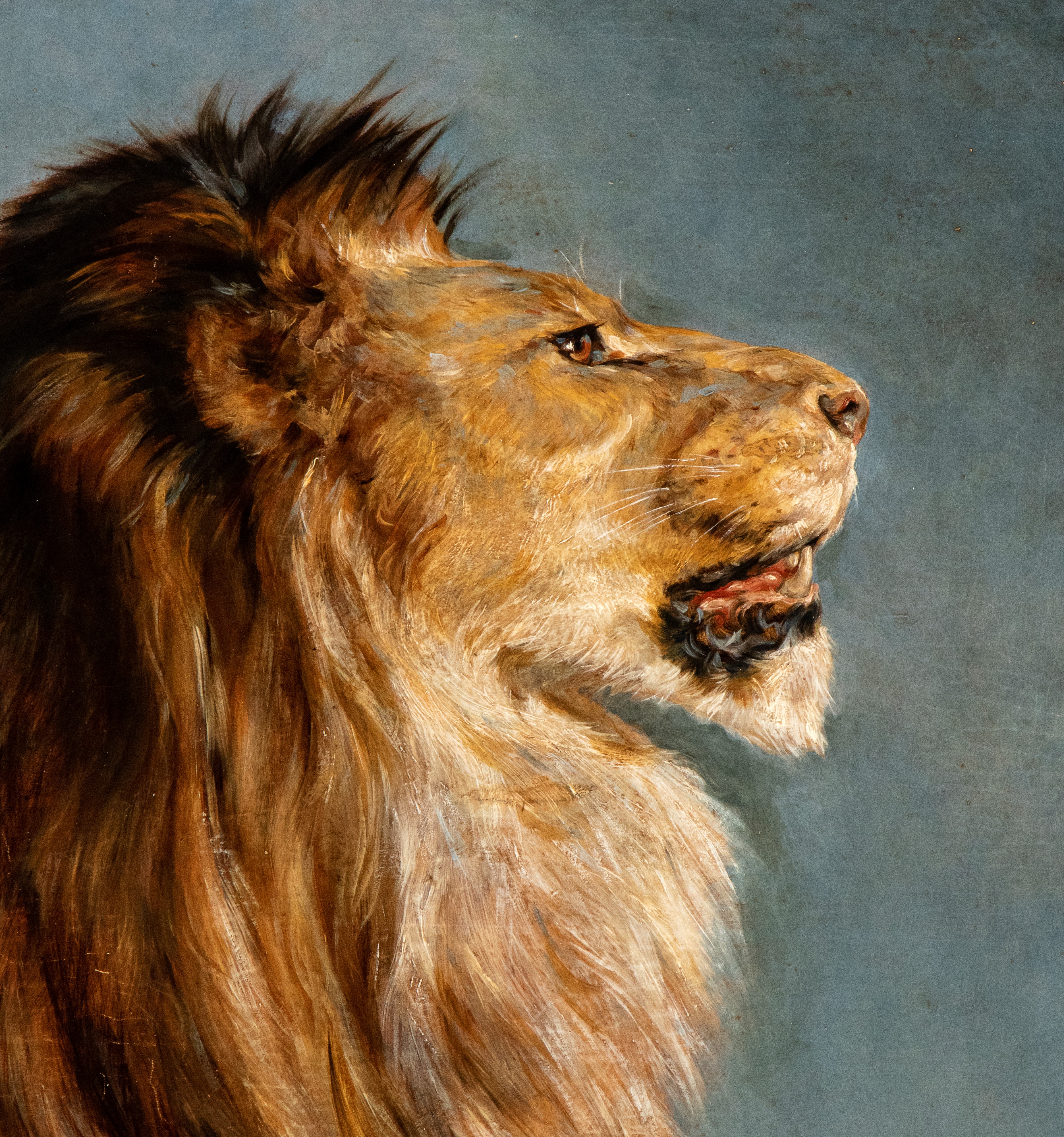 Artista Francese, Fine XIX Secolo - Rosa Bonheur, Testa di leone, olio su tela