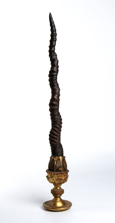 Corna di antilope, fine XVII-inizio XVIII secolo, montate su base ornamentale in metallo dorato