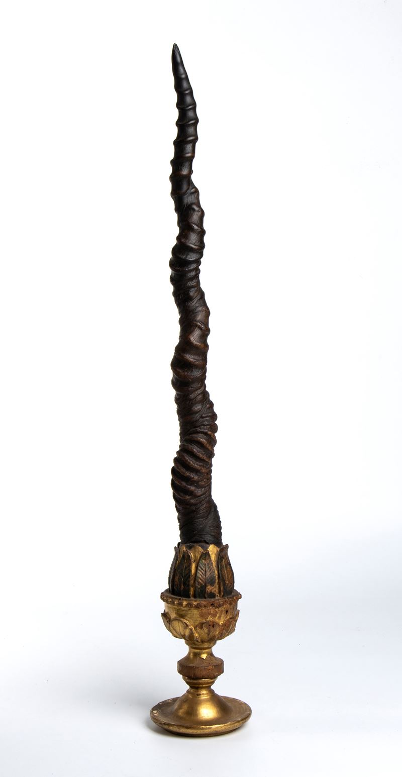 Corna di antilope, fine XVII-inizio XVIII secolo, montate su base ornamentale in metallo dorato