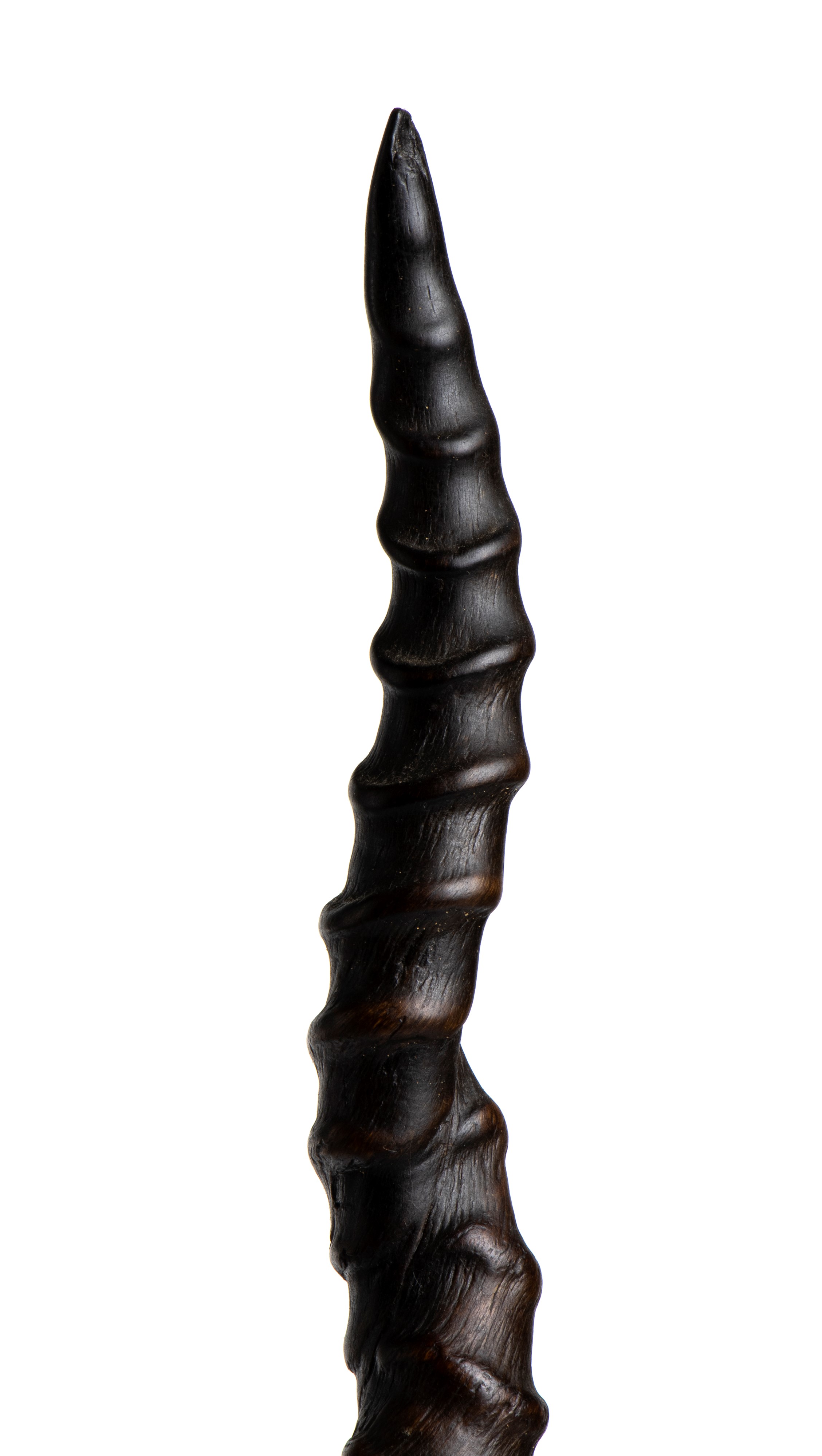 Corna di antilope, fine XVII-inizio XVIII secolo, montate su base ornamentale in metallo dorato