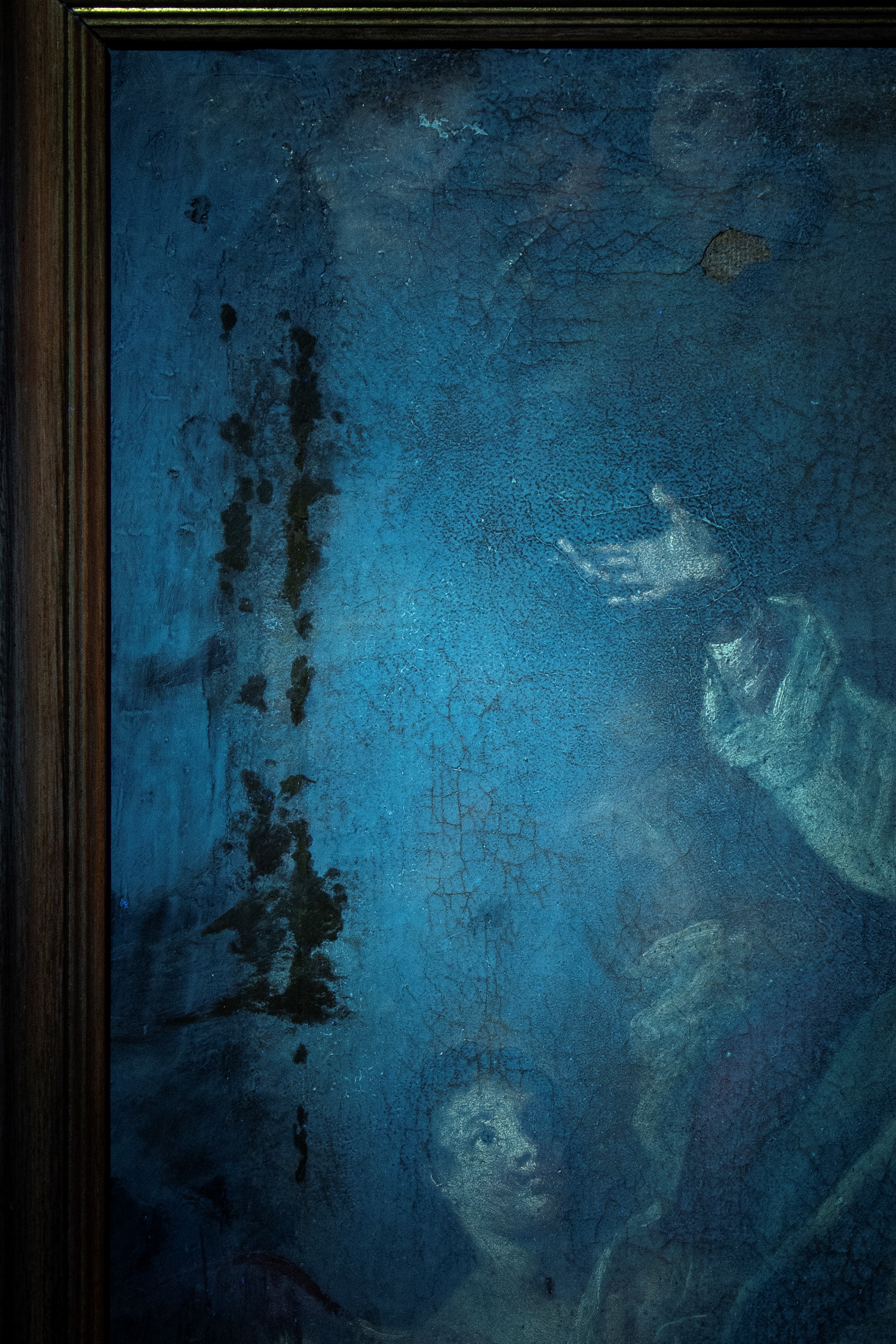 Olio su tela Assunzione