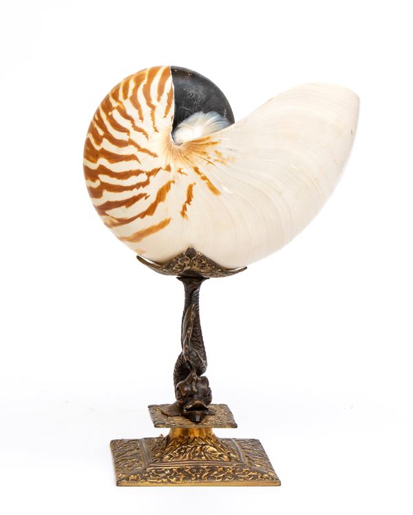 Nautilus montato su base in metallo