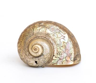 Oggetto orientale, Turbo Shell incisa, XIX secolo, Asia