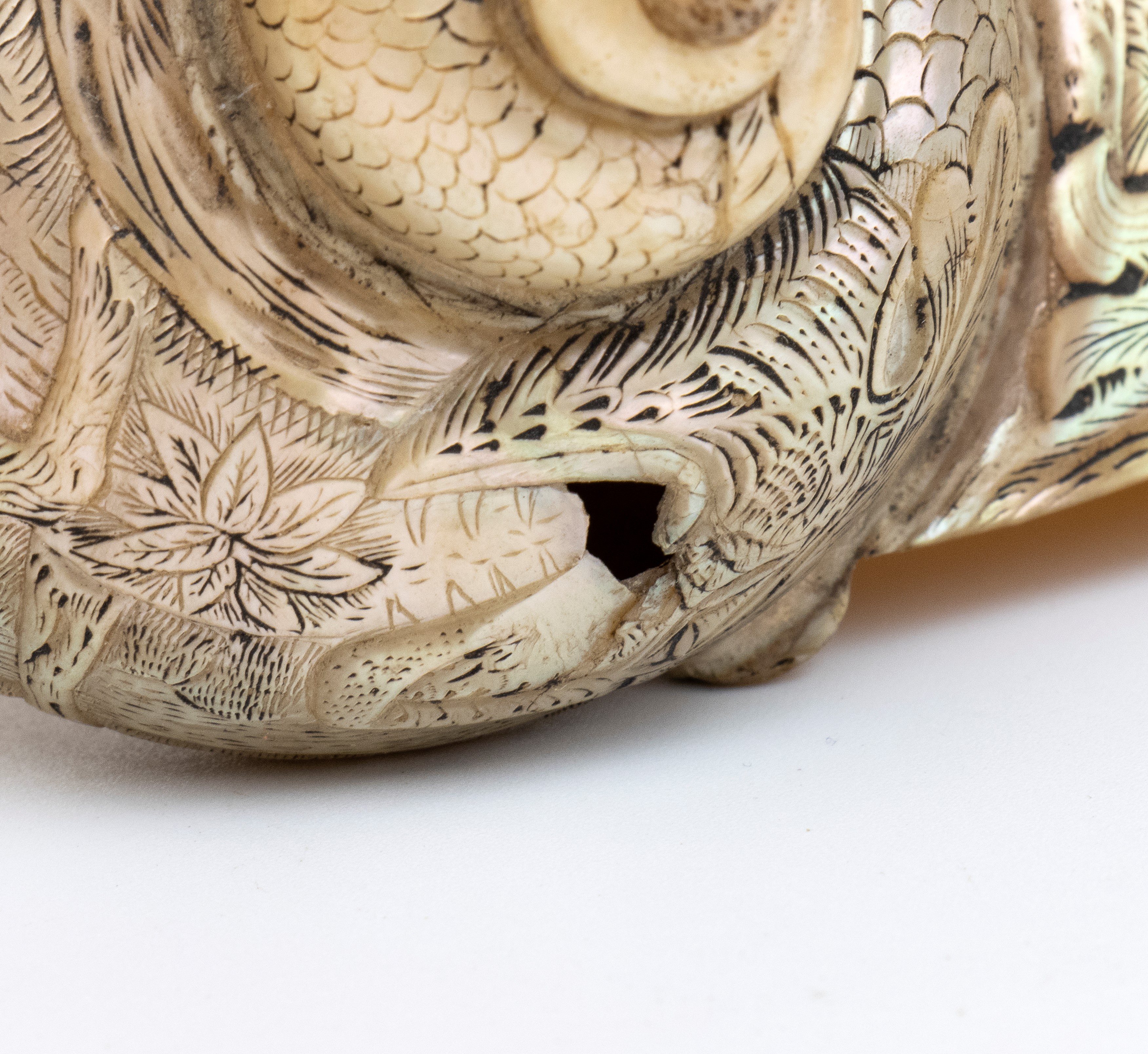 Oggetto orientale, Turbo Shell incisa, XIX secolo, Asia