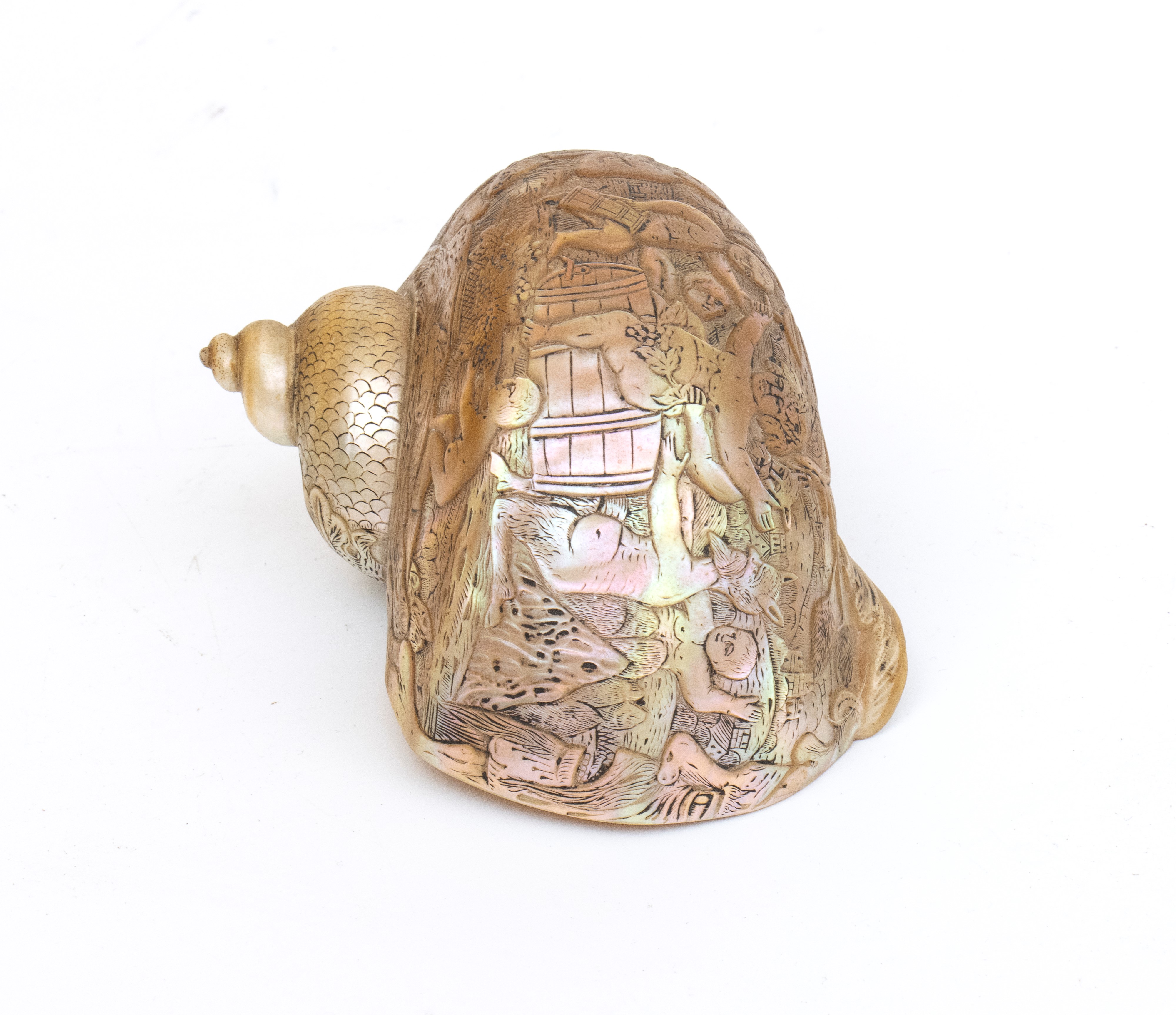 Oggetto orientale, Turbo Shell incisa, XIX secolo, Asia