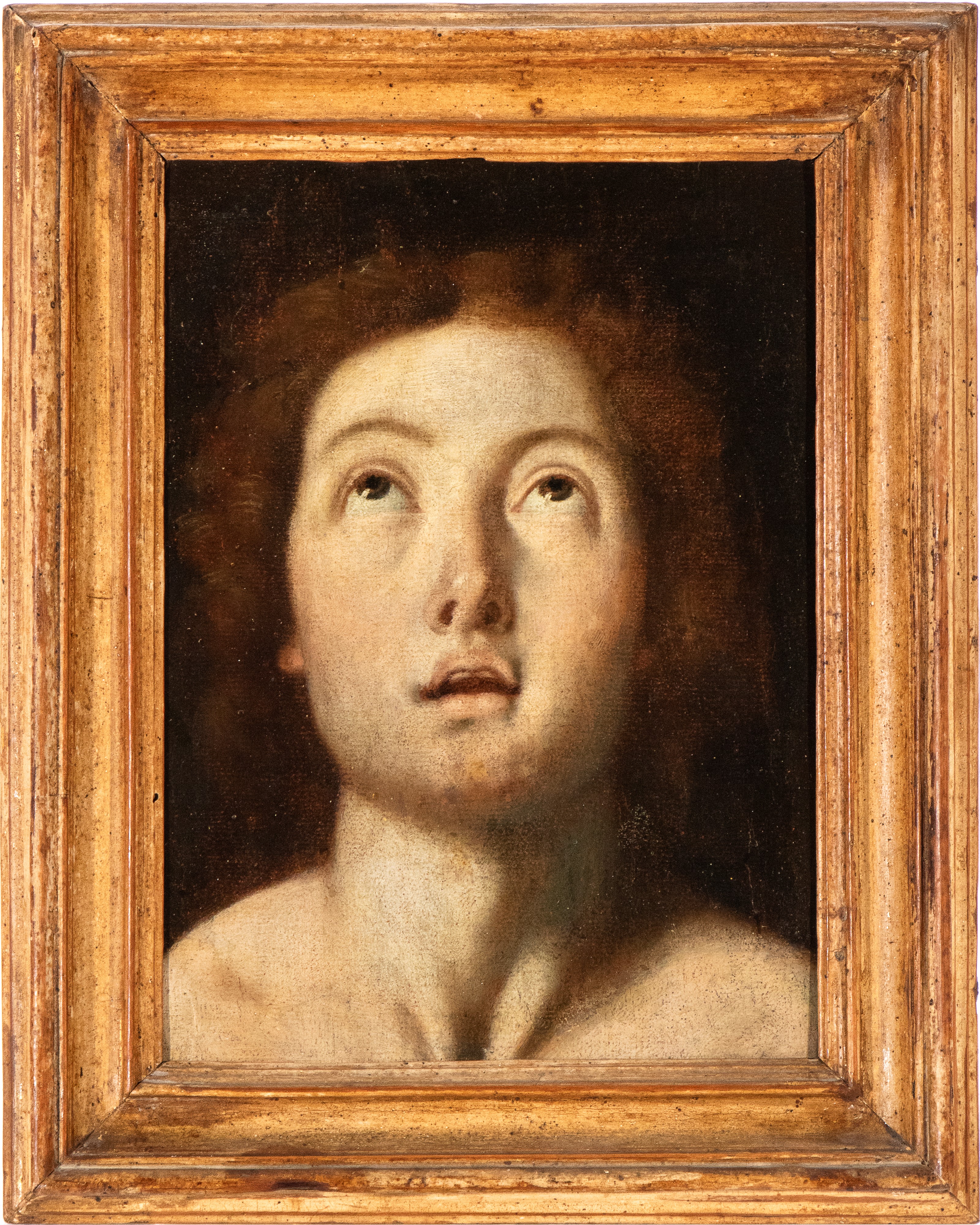 Artista Italiano, XVIII Secolo - Testa di santo in estasi, olio su tela cm. 25x18 con cornice