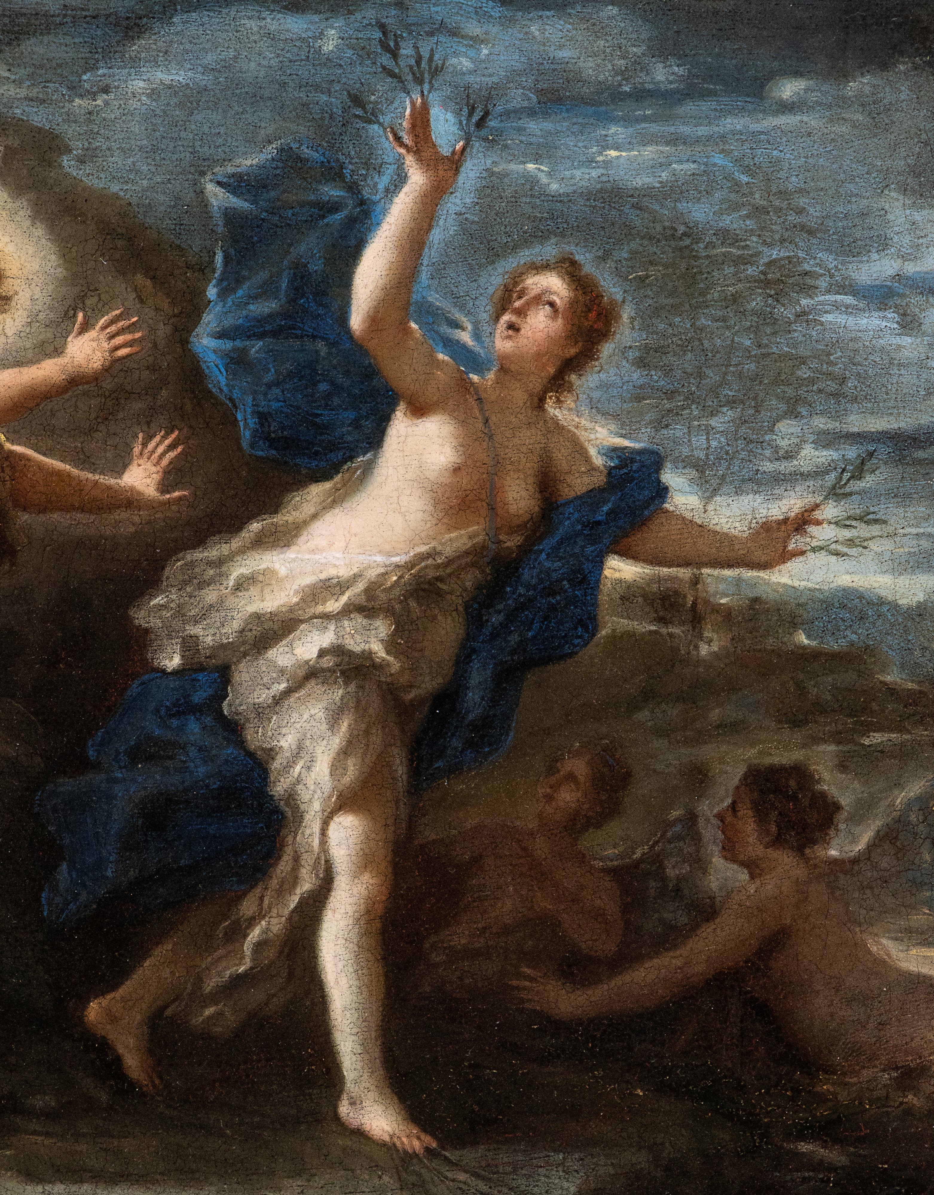 Michele Rocca Michele da Parma o Parmigiano - Apollo e Dafne, olio su tela