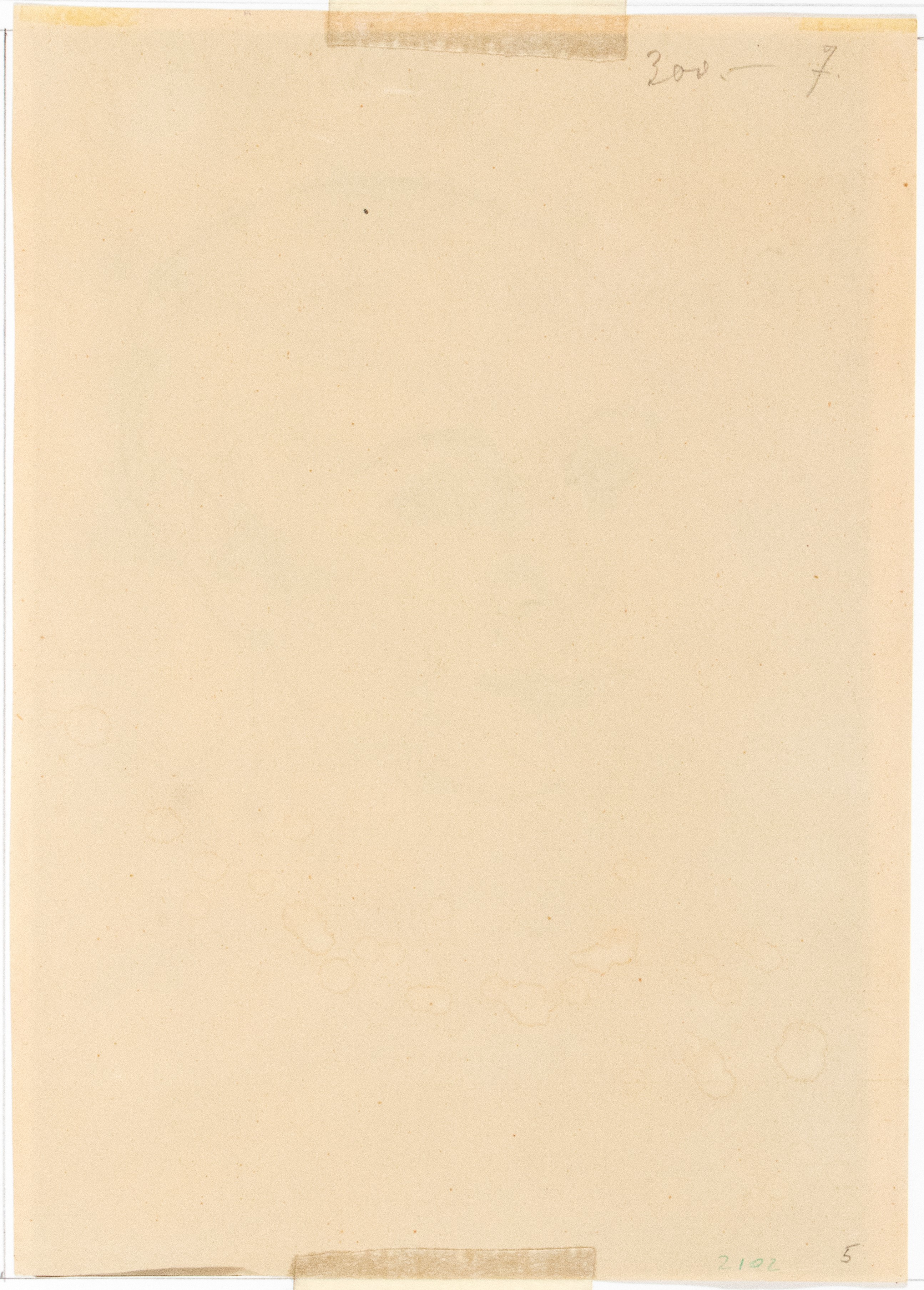 Christian Schad - La sfregiata, china su carta