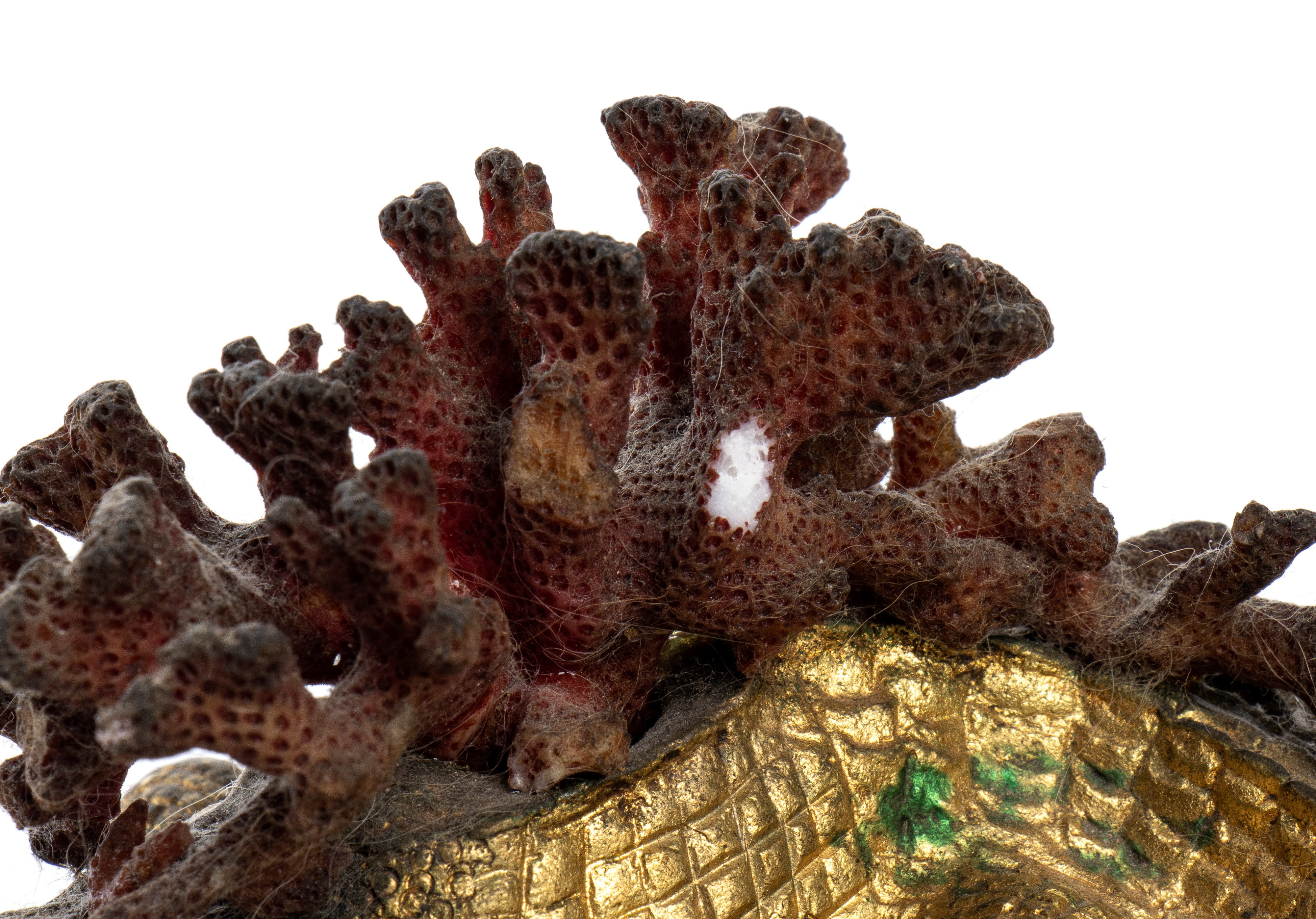 Coppia di sculture zoomorfe