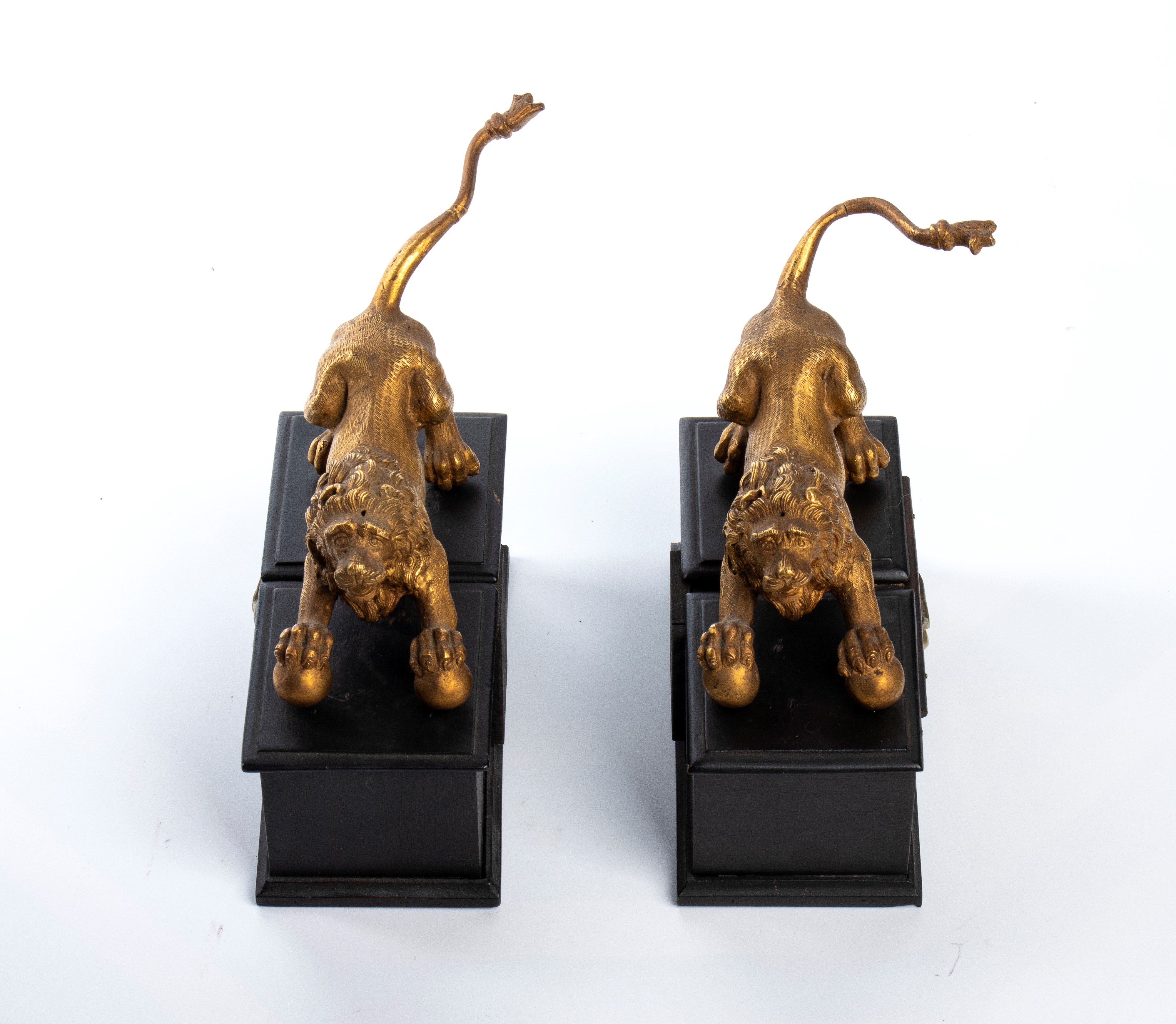 Coppia di sculture raffiguranti leoni