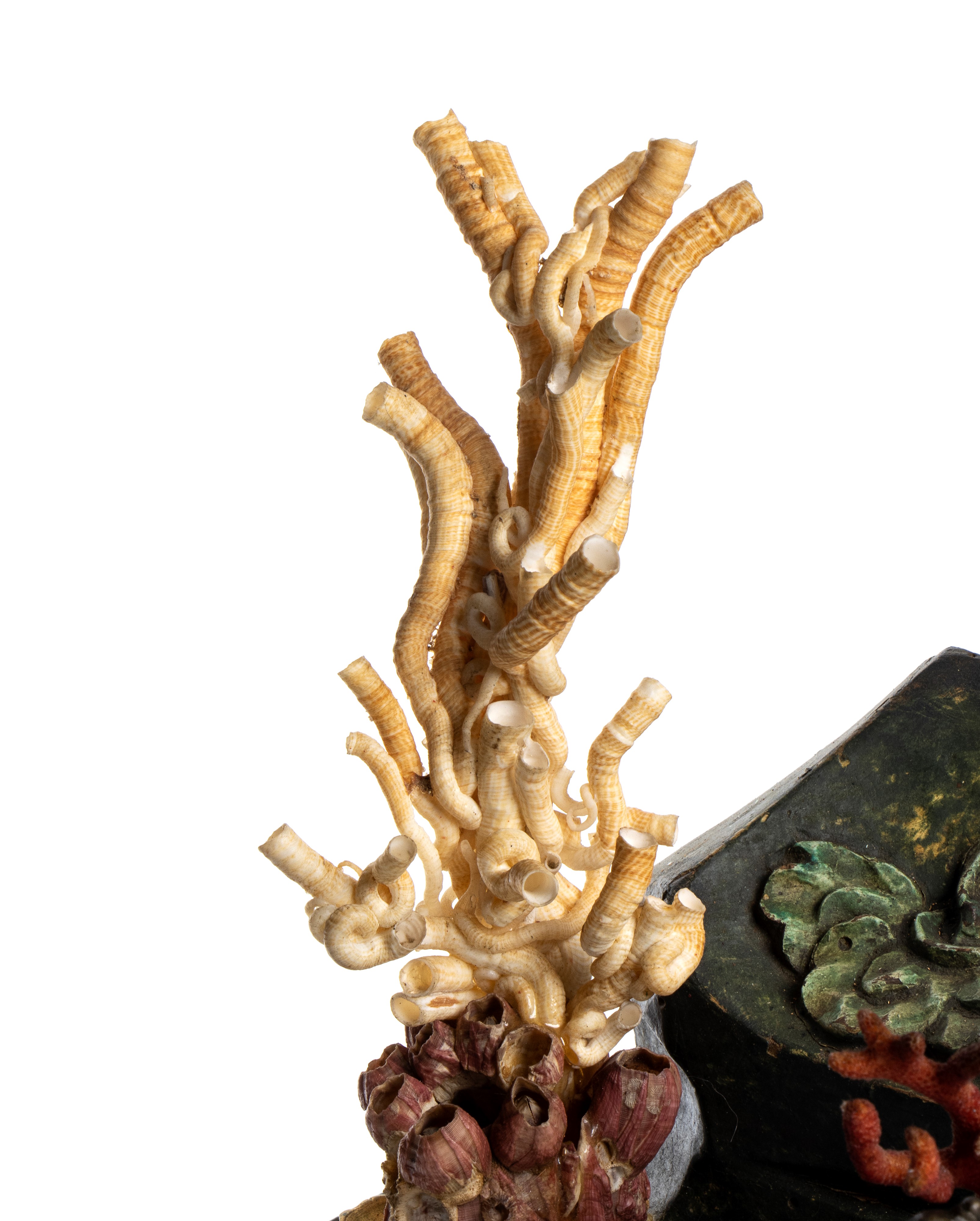 Paesaggio marino fantastico