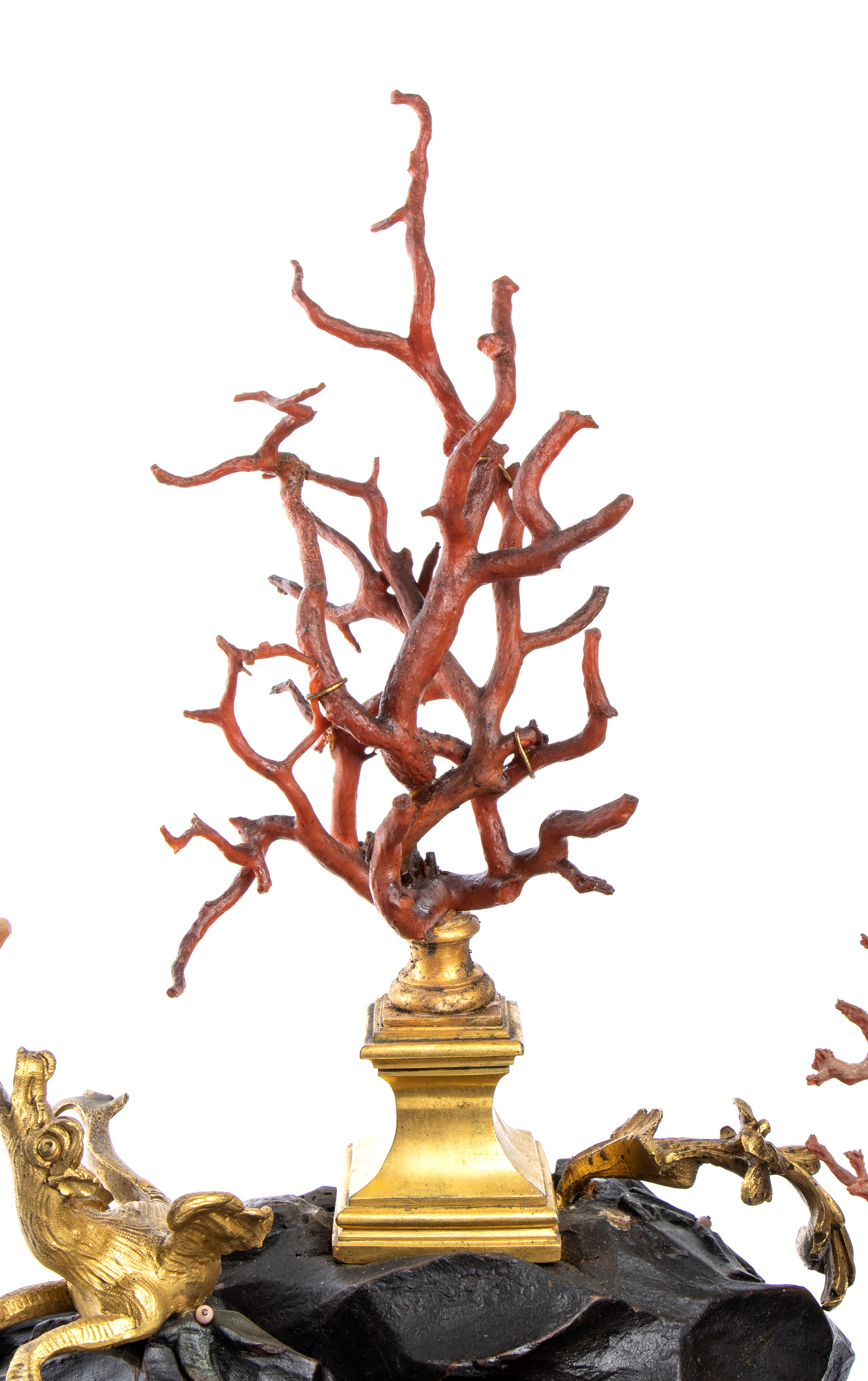 Paesaggio marino fantastico