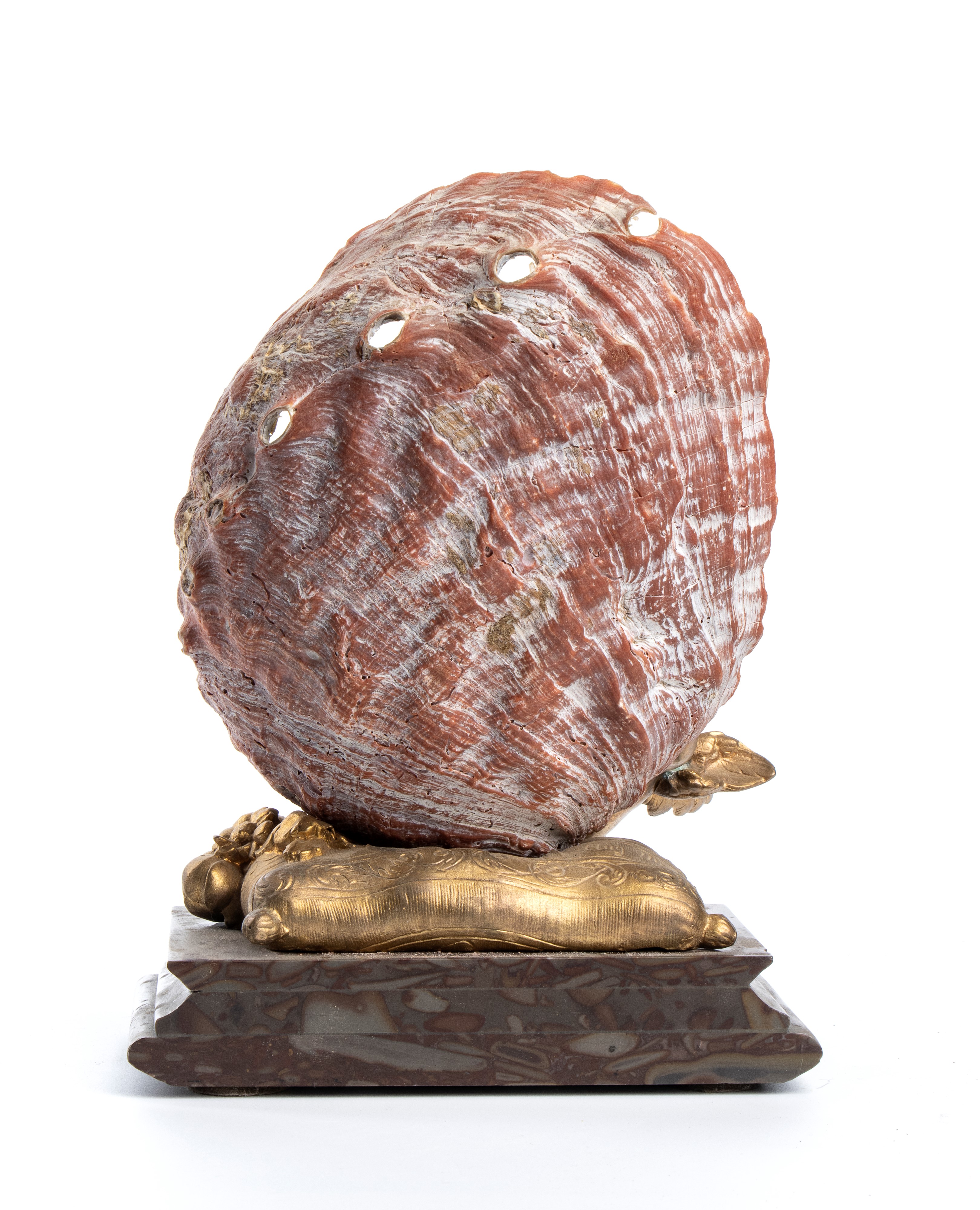 Composizione con conchiglia