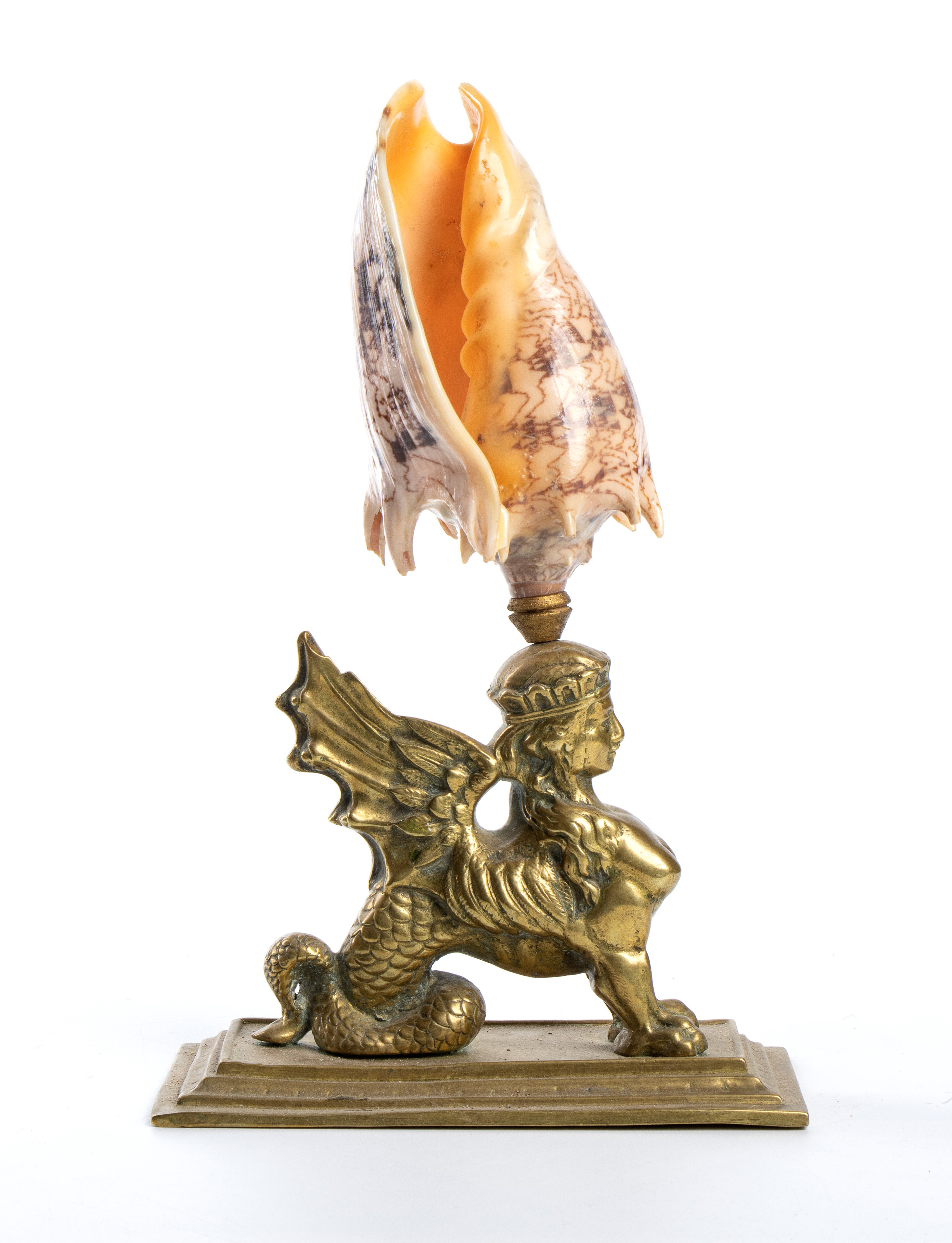 Composizione zoomorfa con conchiglia