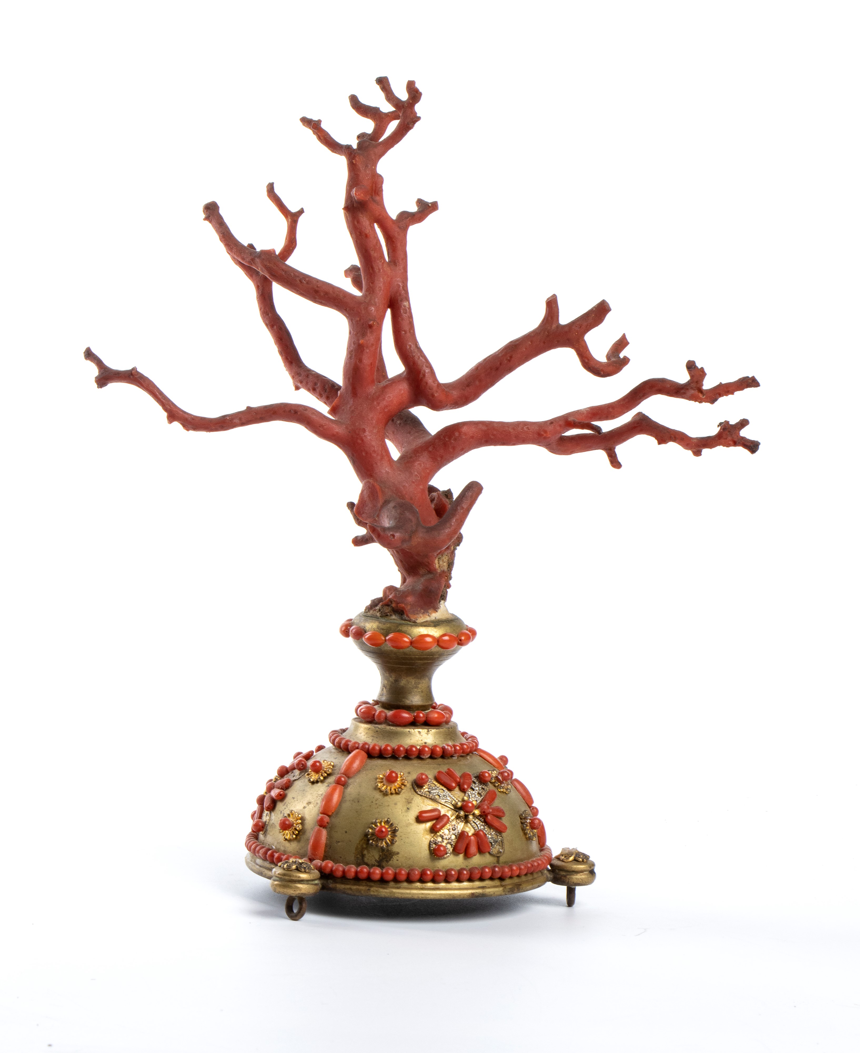 Composizione in corallo del Mediterraneo