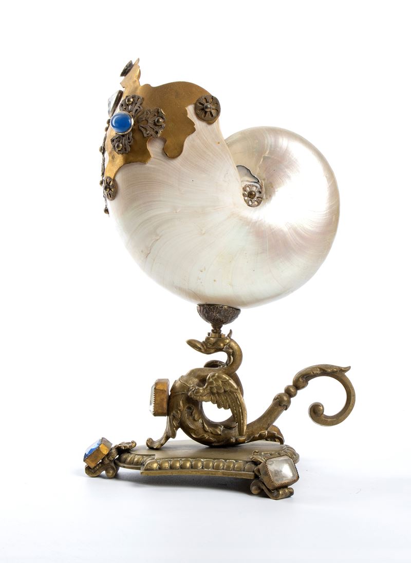 Nautilus montato su base in ottone