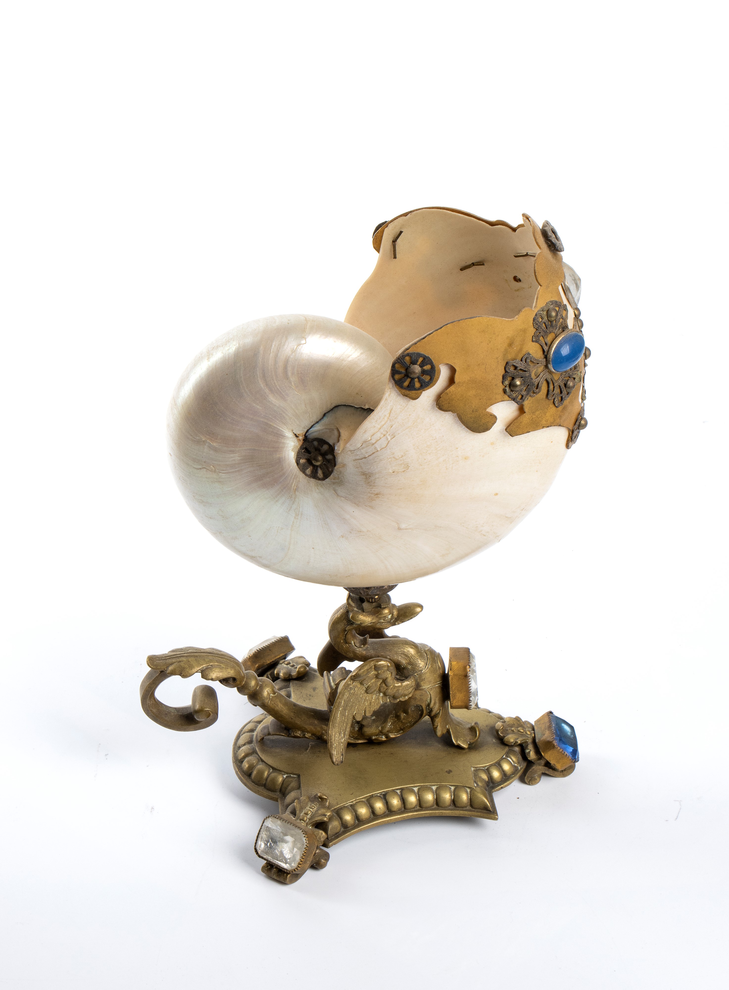 Nautilus montato su base in ottone