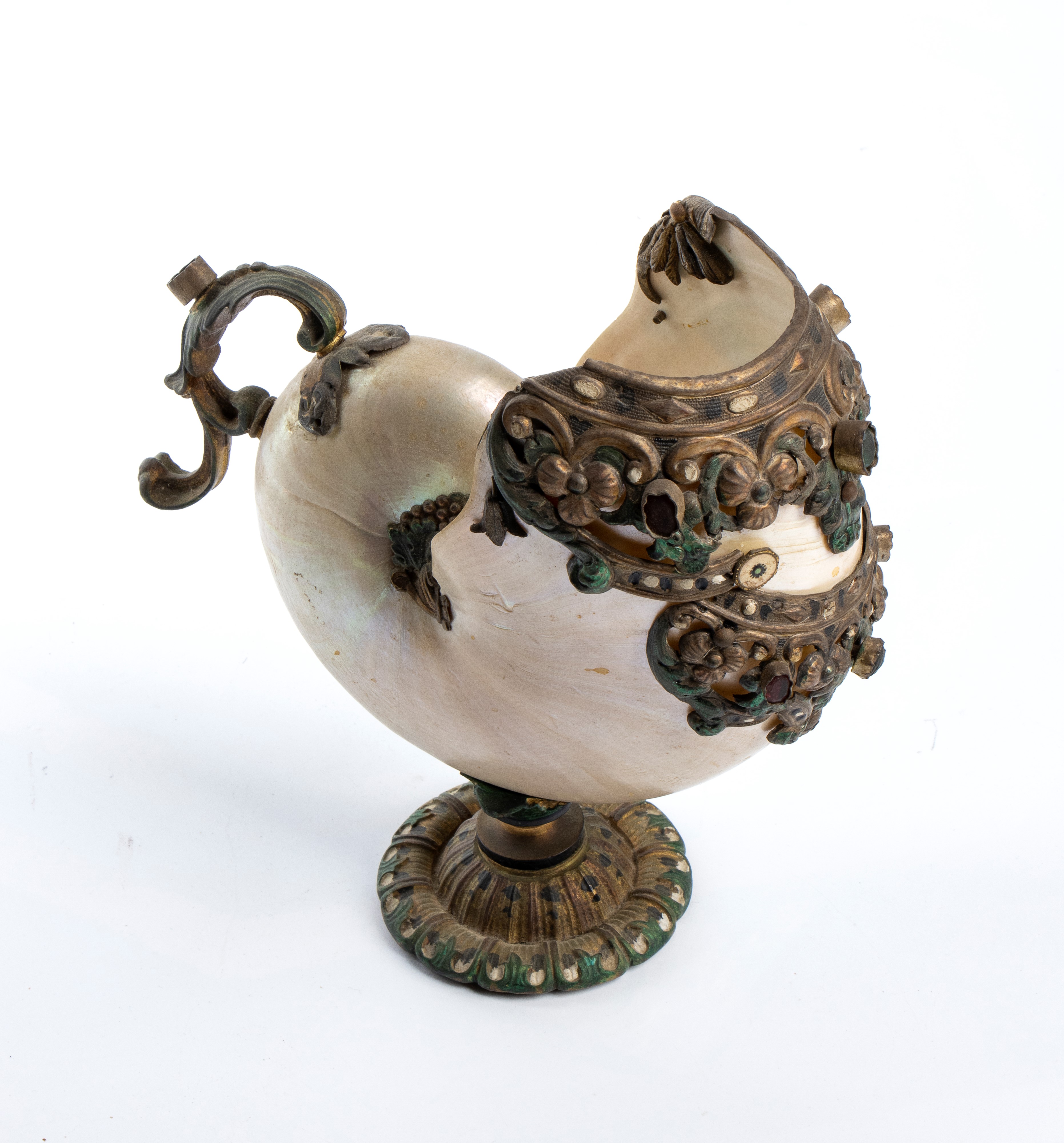 Conchiglia di nautilus