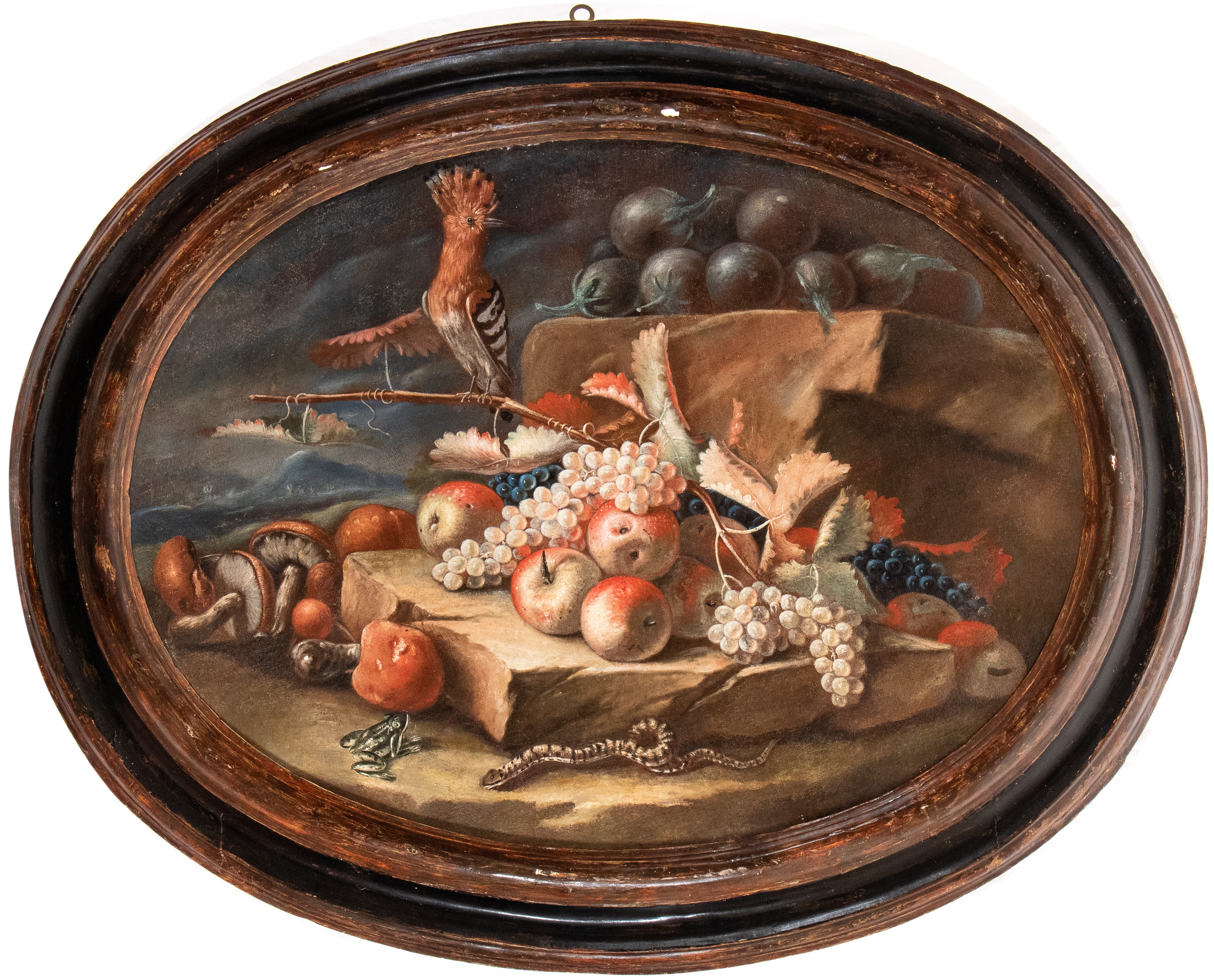 Artista Emiliano, XVIII Secolo - Autore sconosciuto, Natura morta con upupa, ranocchia e serpente...