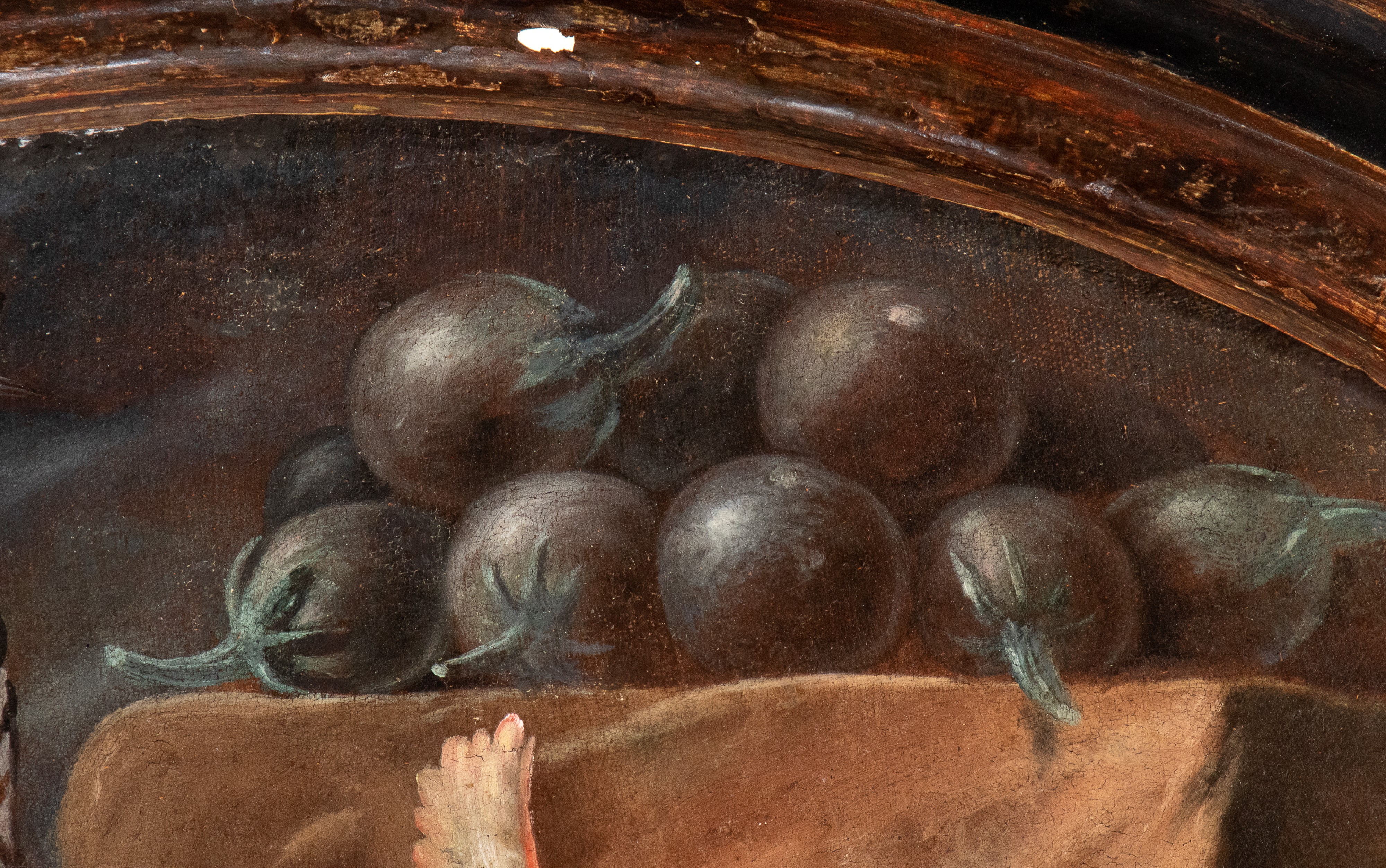 Natura morta con upupa, ranocchia e serpente