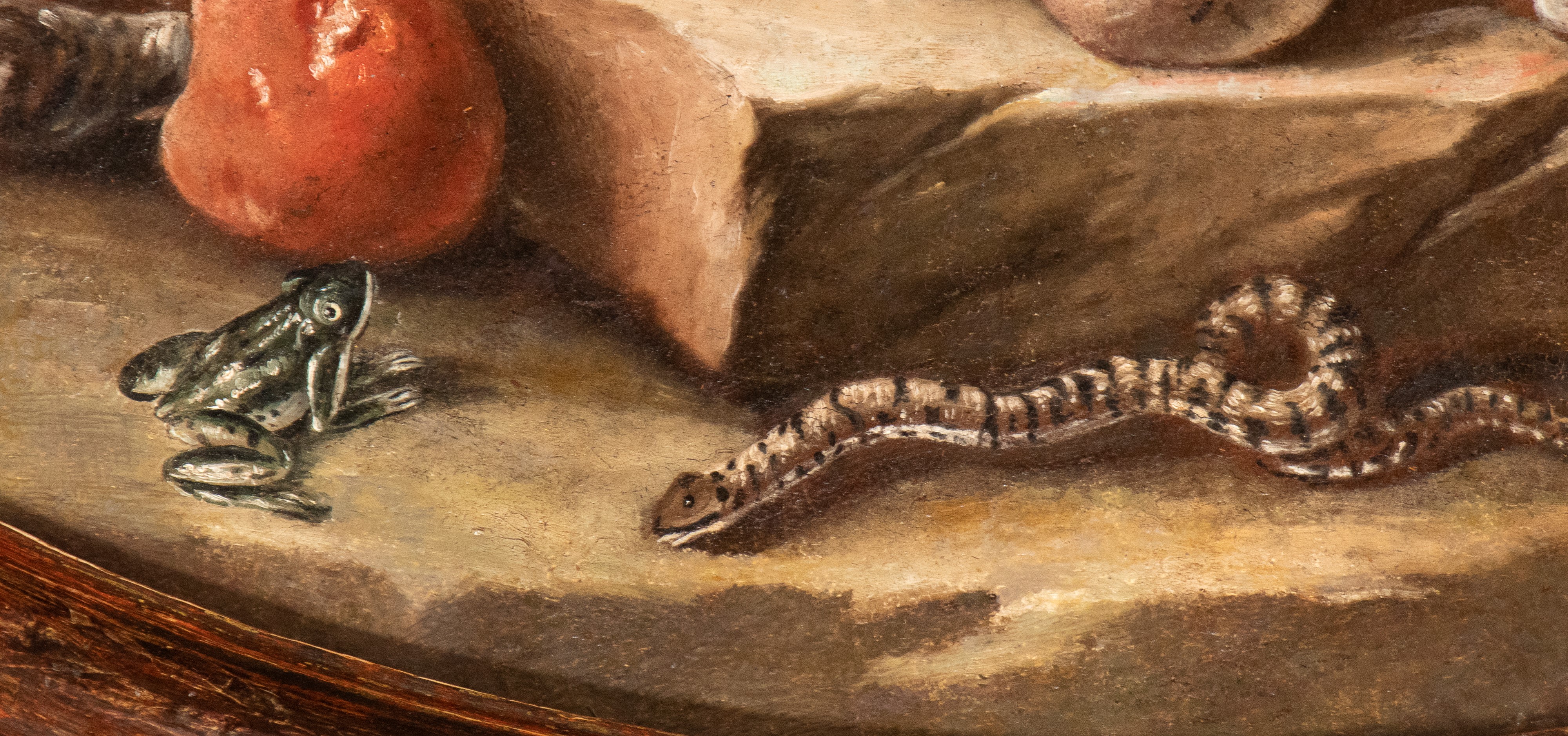 Artista Emiliano, XVIII Secolo - Autore sconosciuto, Natura morta con upupa, ranocchia e serpente...